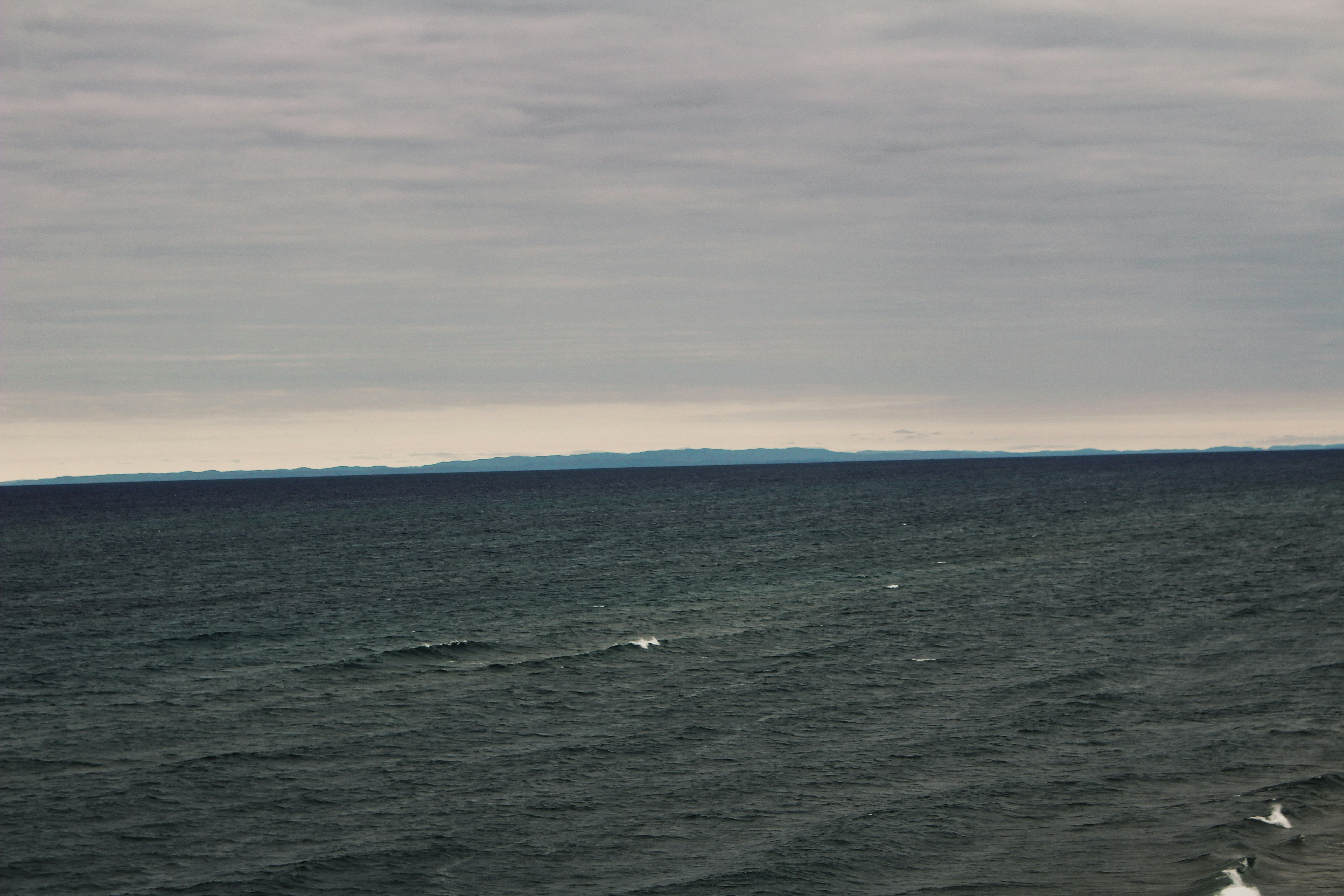 Photo by elijahaustin