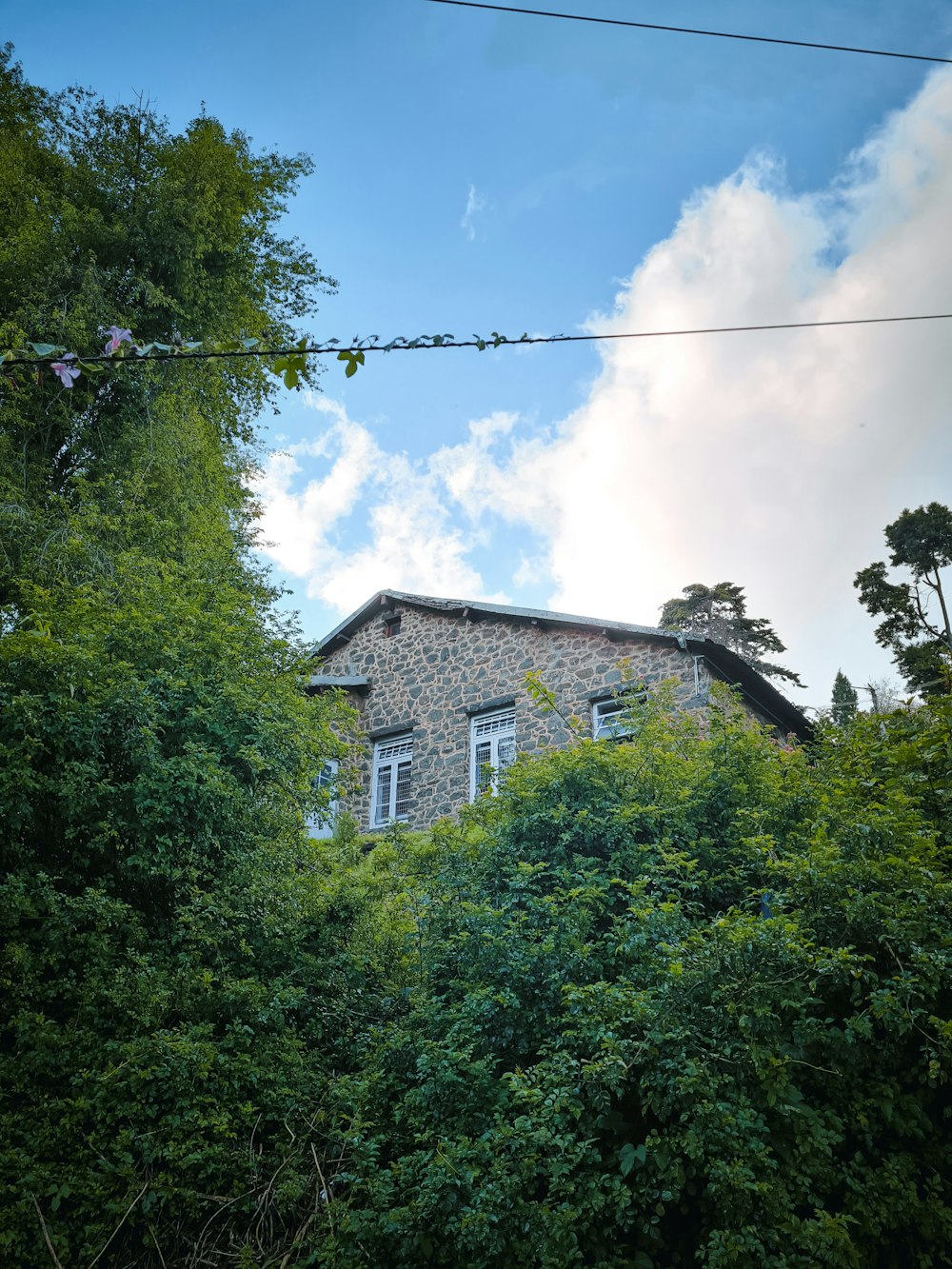 a building surrounded by trees