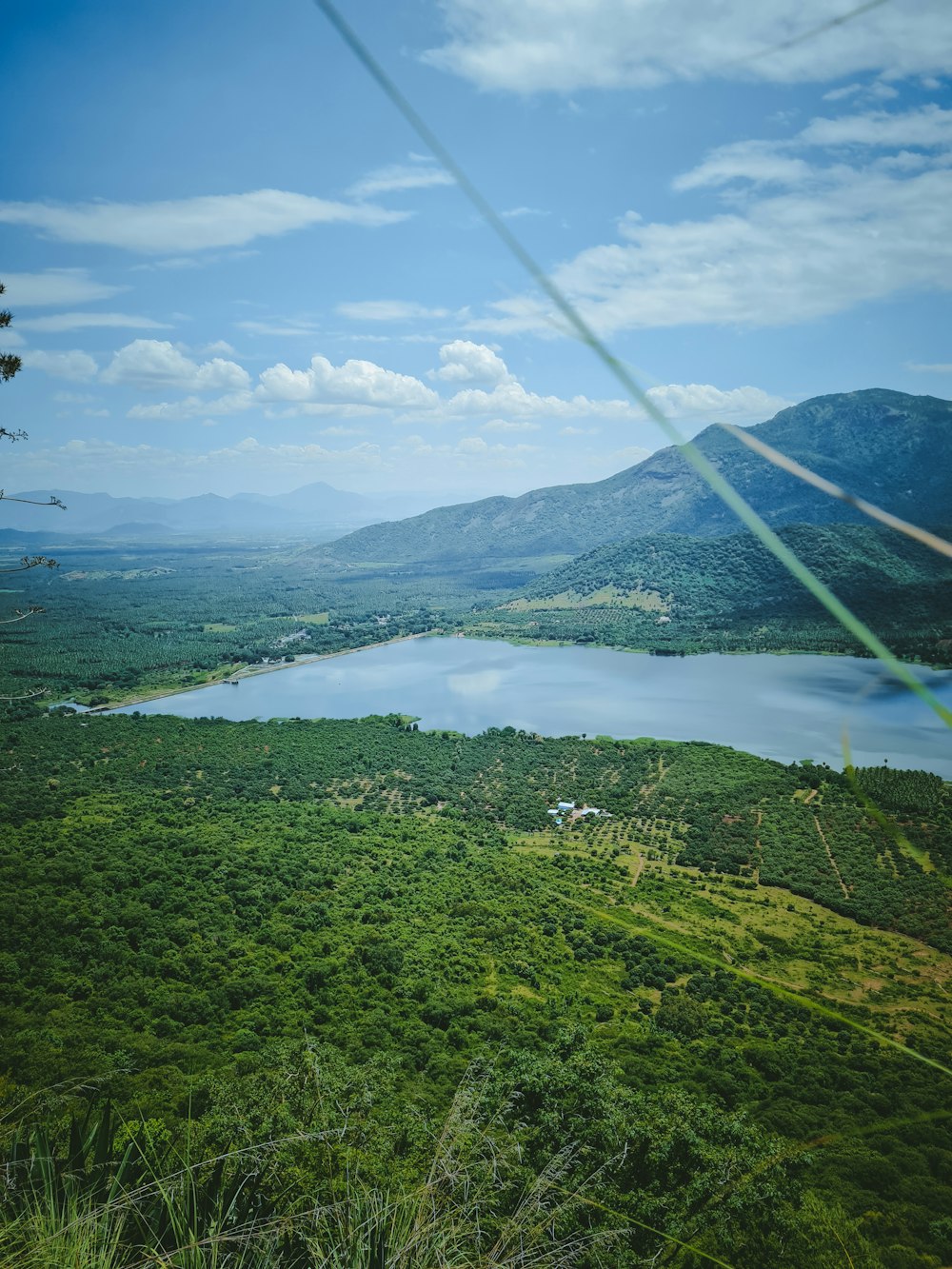 a green landscape with a body of water in the distance