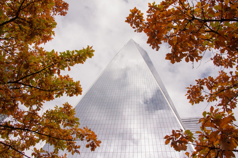 a tall building with trees around it