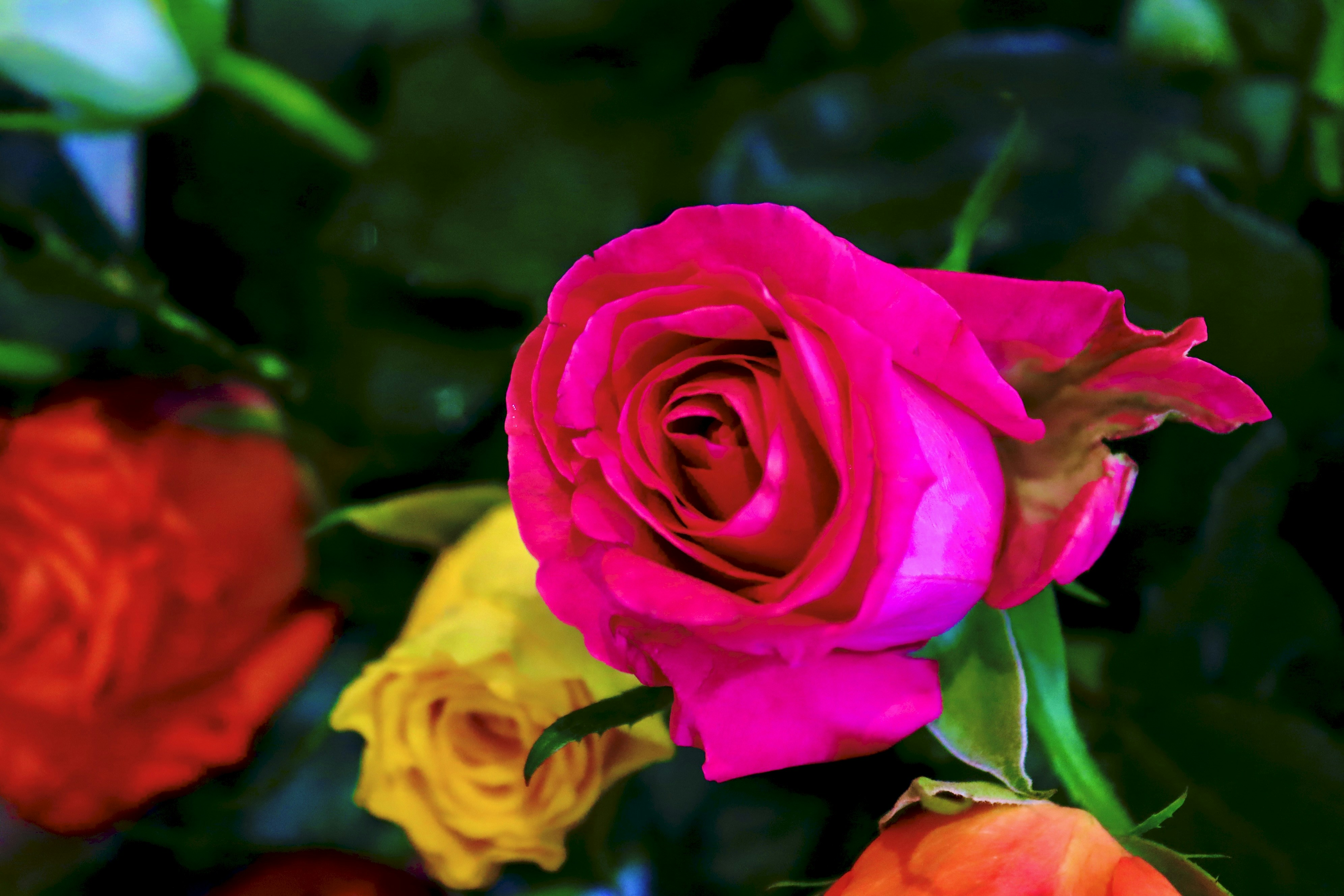 Photo by jellydollar