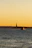 A smiling woman standing on the deck of a boat during sunset, with NYC skyline in the background