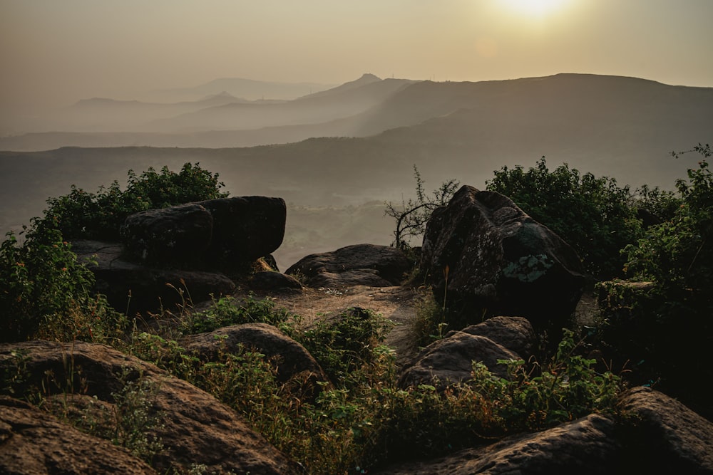 a rocky area with trees and fog