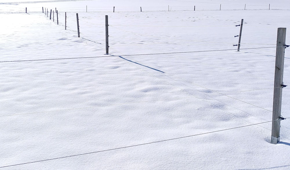 Ein verschneites Feld mit Zaun