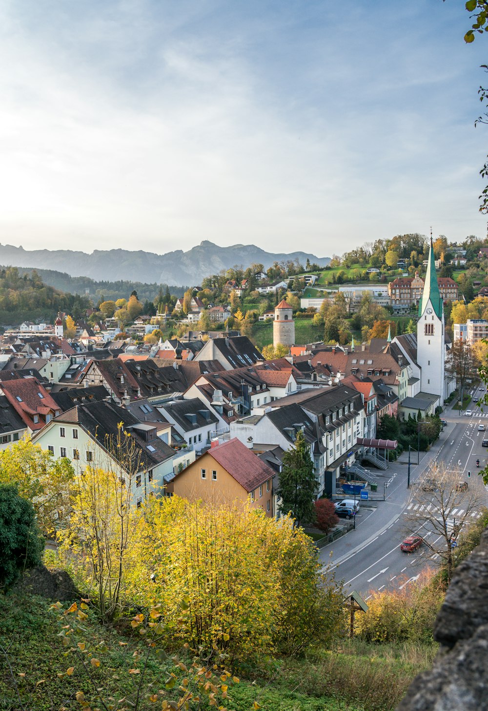 a town with many buildings and trees