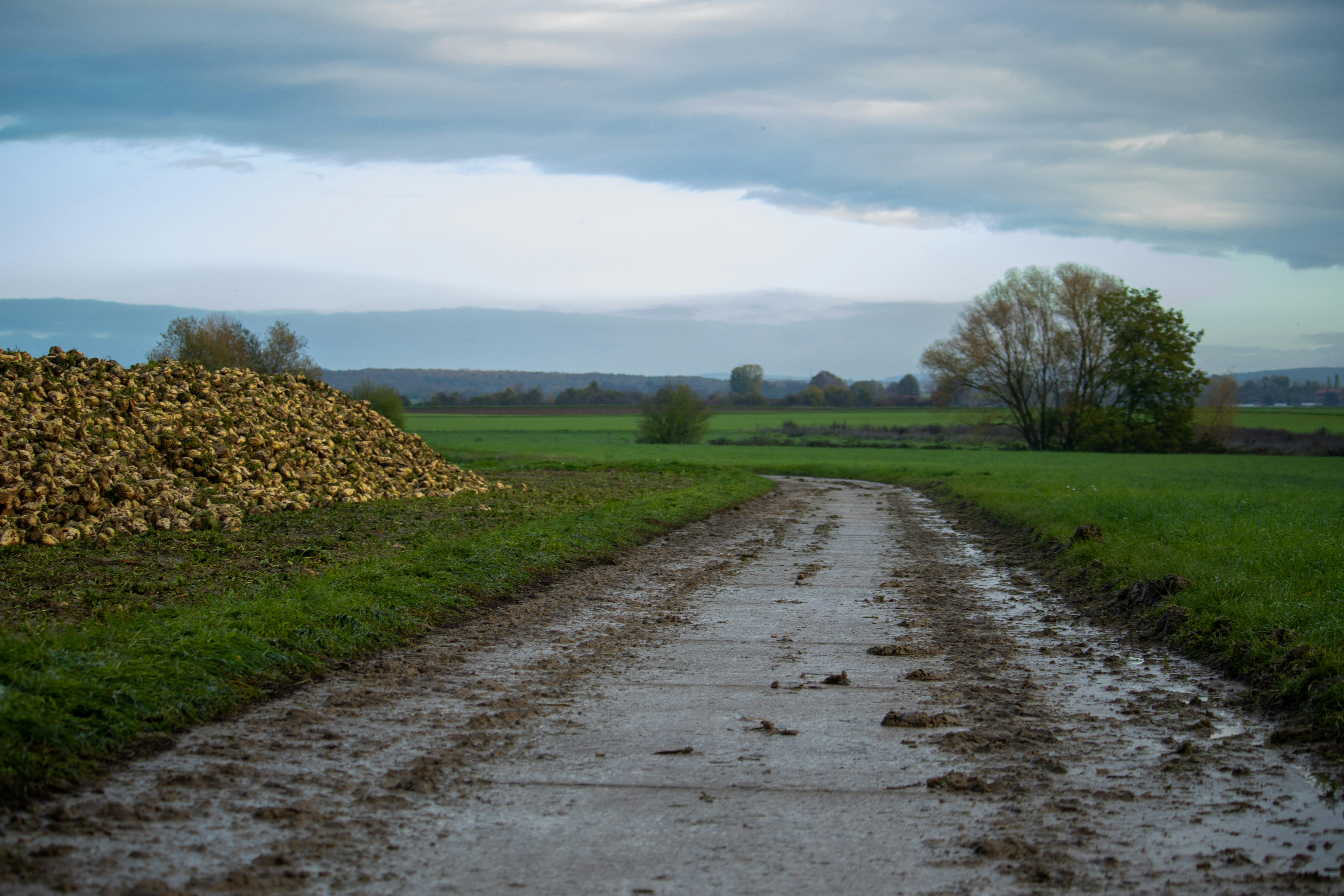 muddy road wallpaper, wallpaper, Driving Through Mud and Sand: Essential Tips 5
