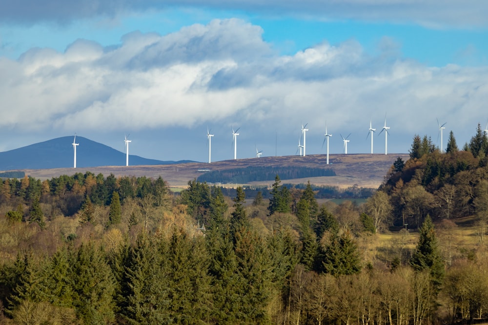 a group of wind turbines in a forest