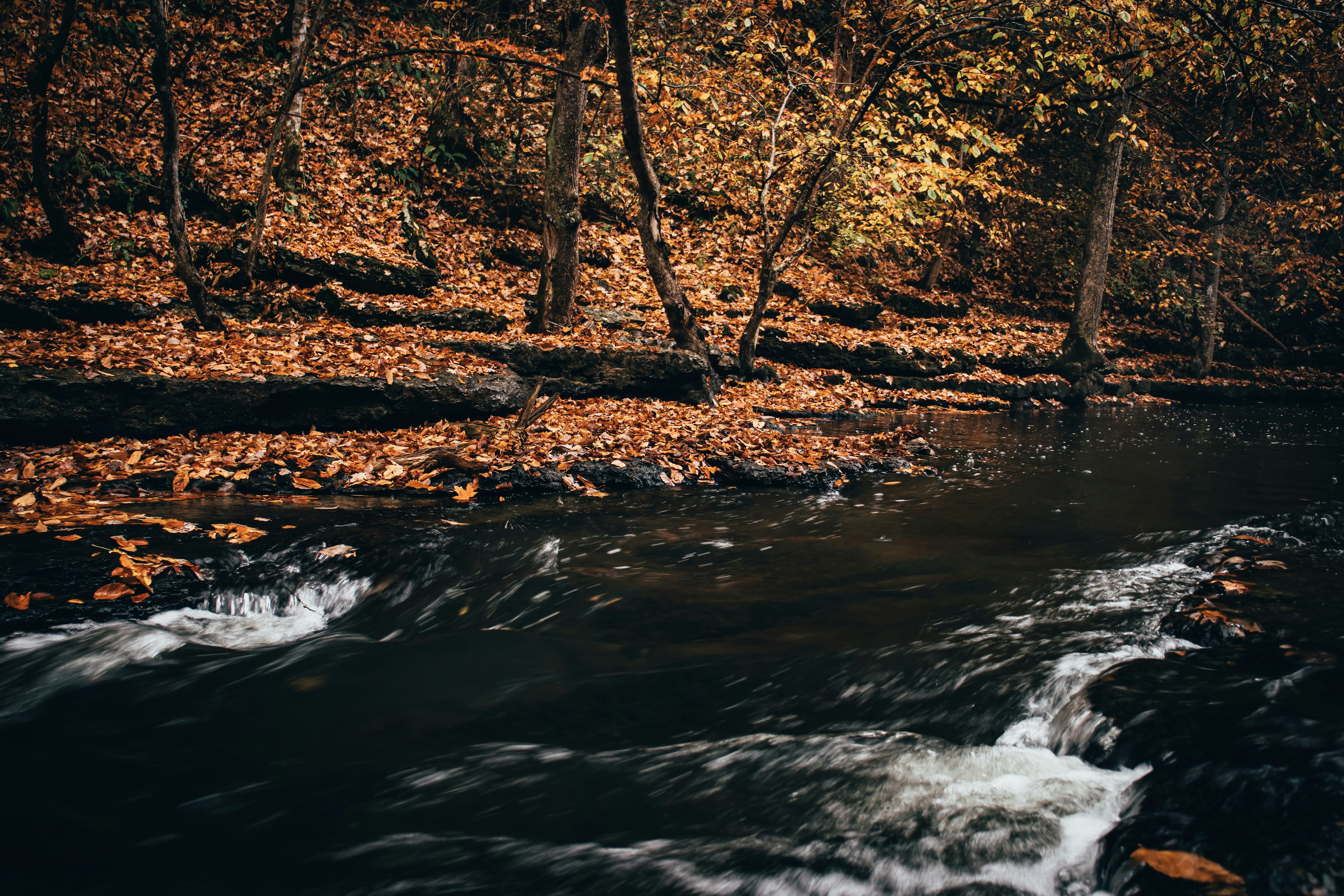 Photo by brice_cooper18