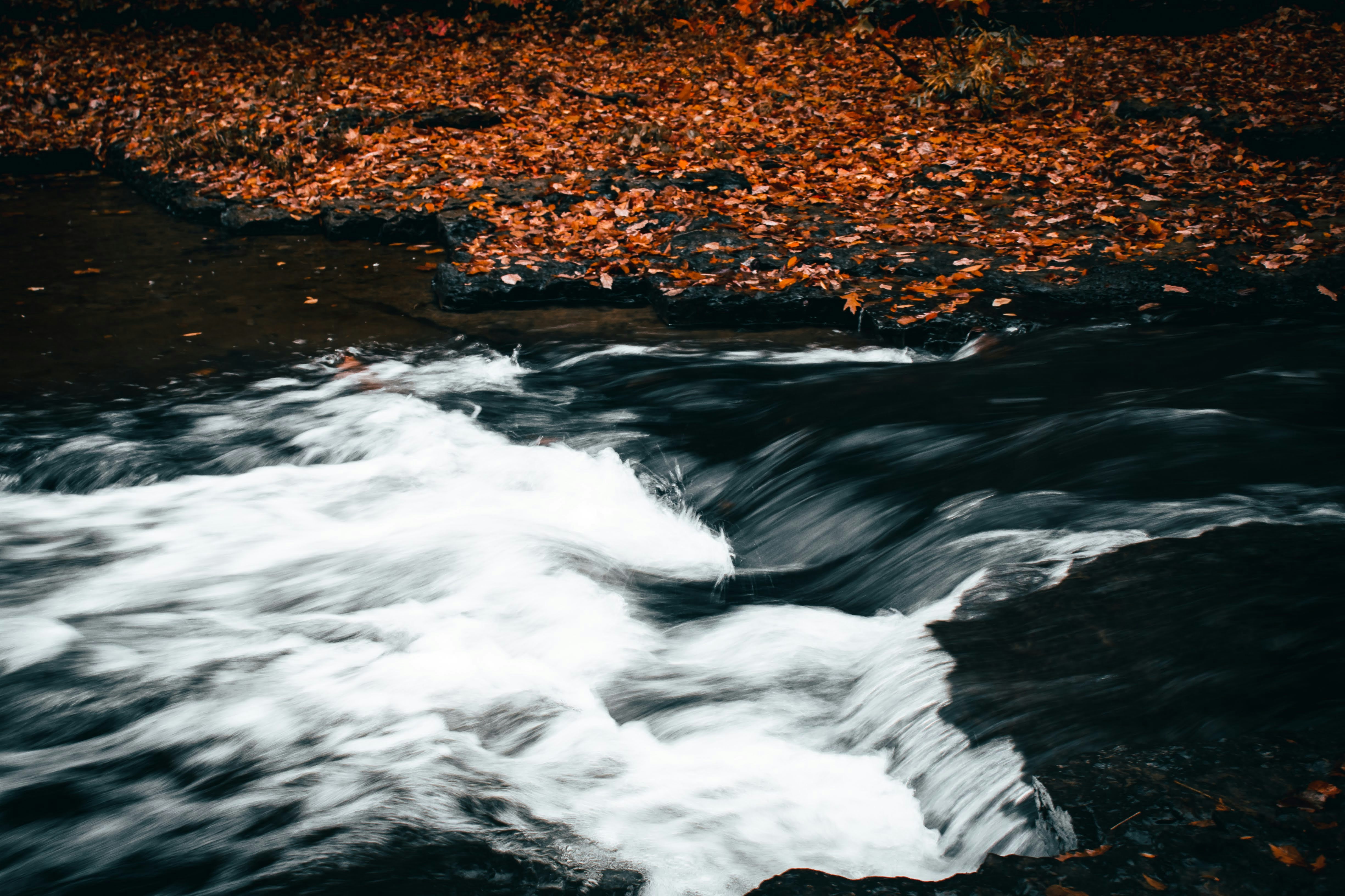 Photo by brice_cooper18