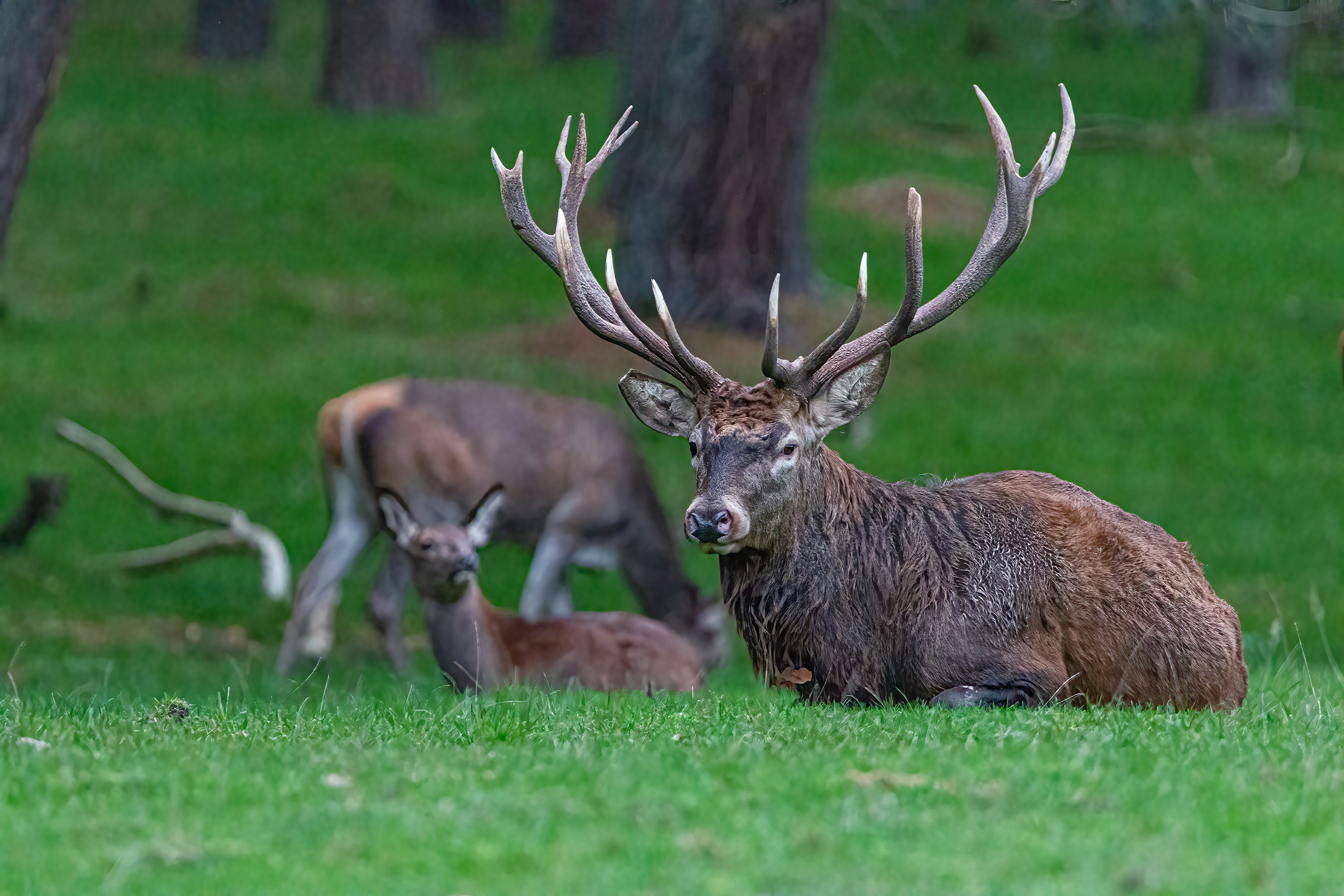 Photo by kennygoossen