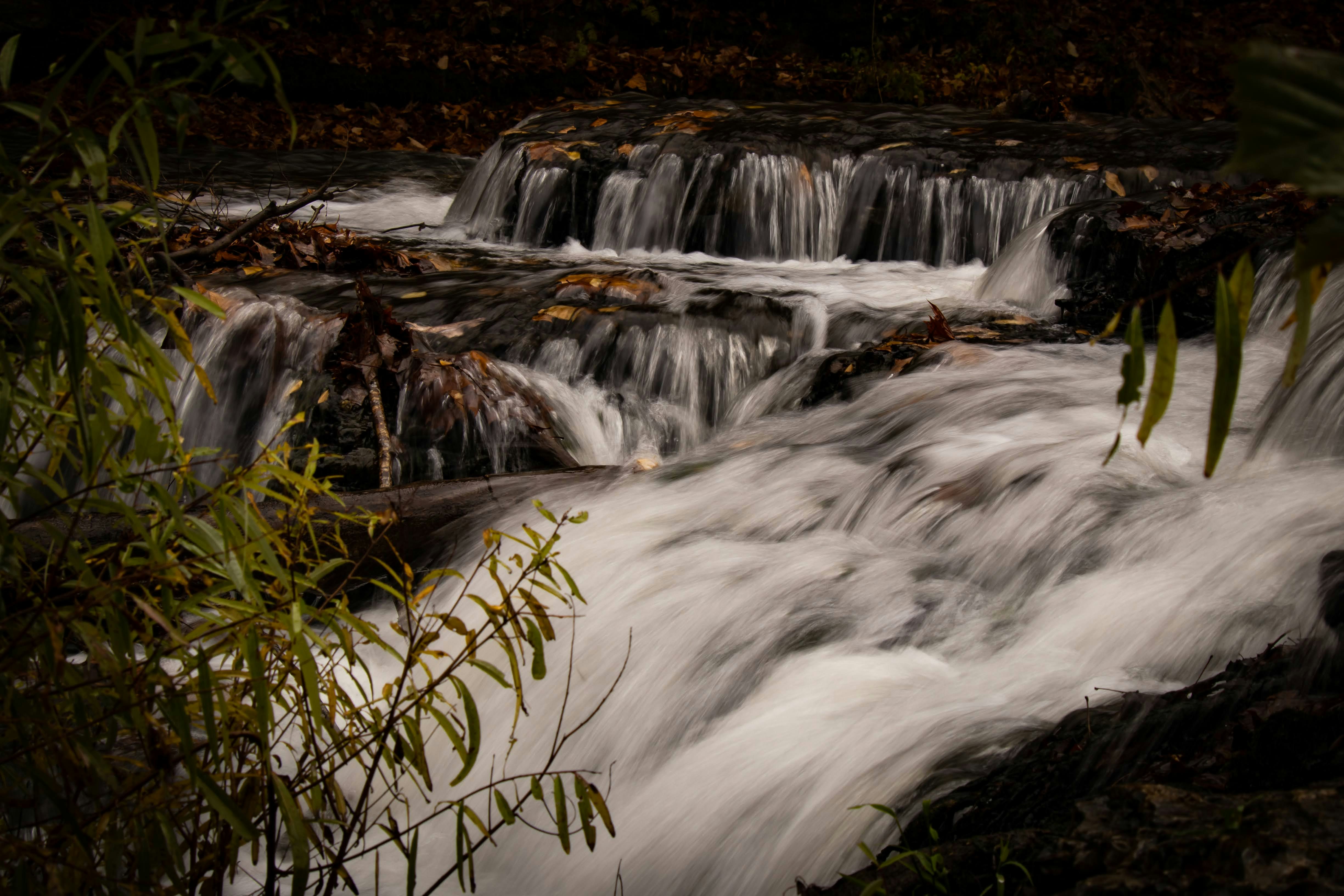 Photo by brice_cooper18