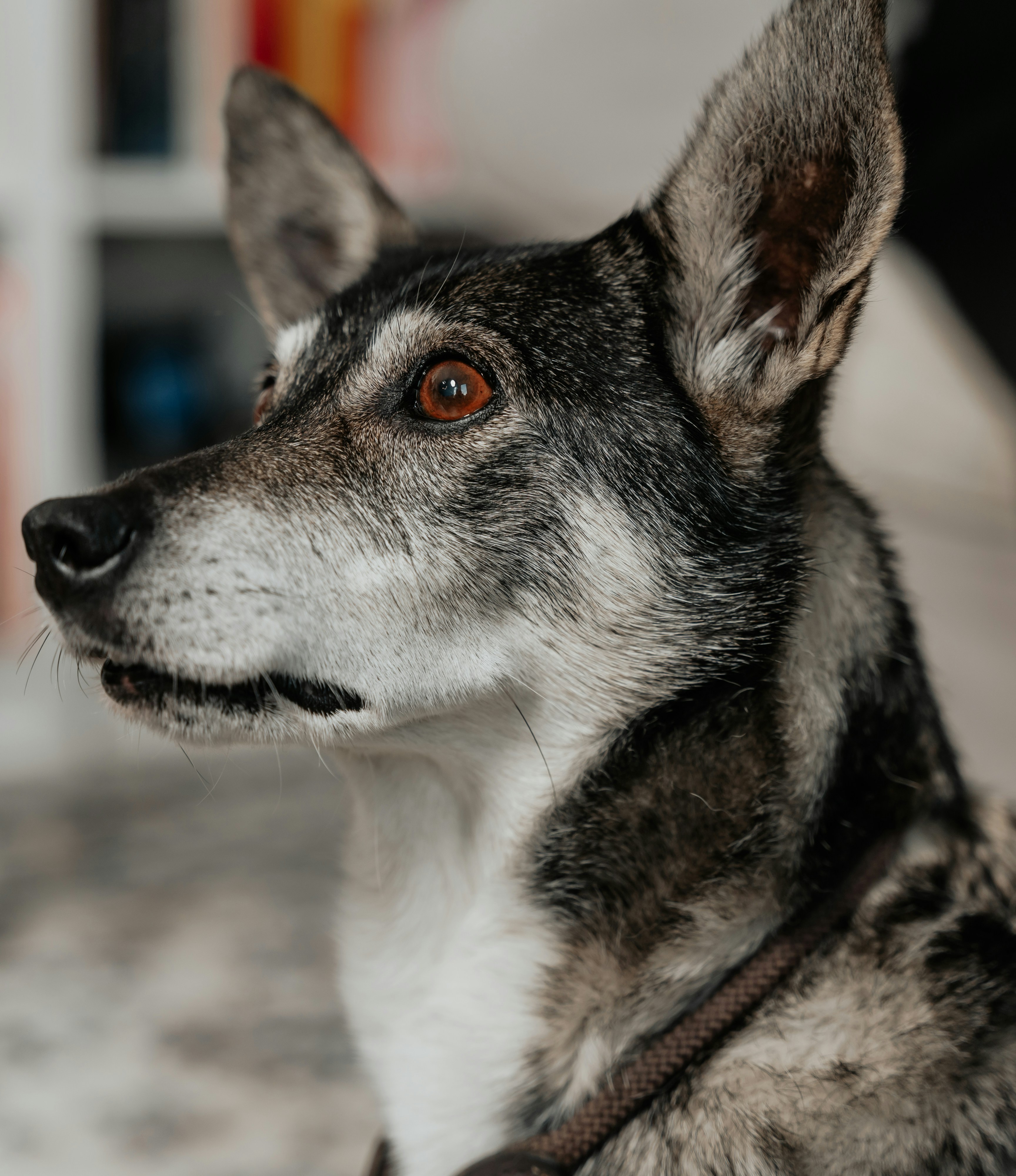 Photo by masoodaslami