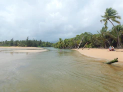 Travelers sharing a peaceful moment together on a sandy beach surrounded by lush greenery
