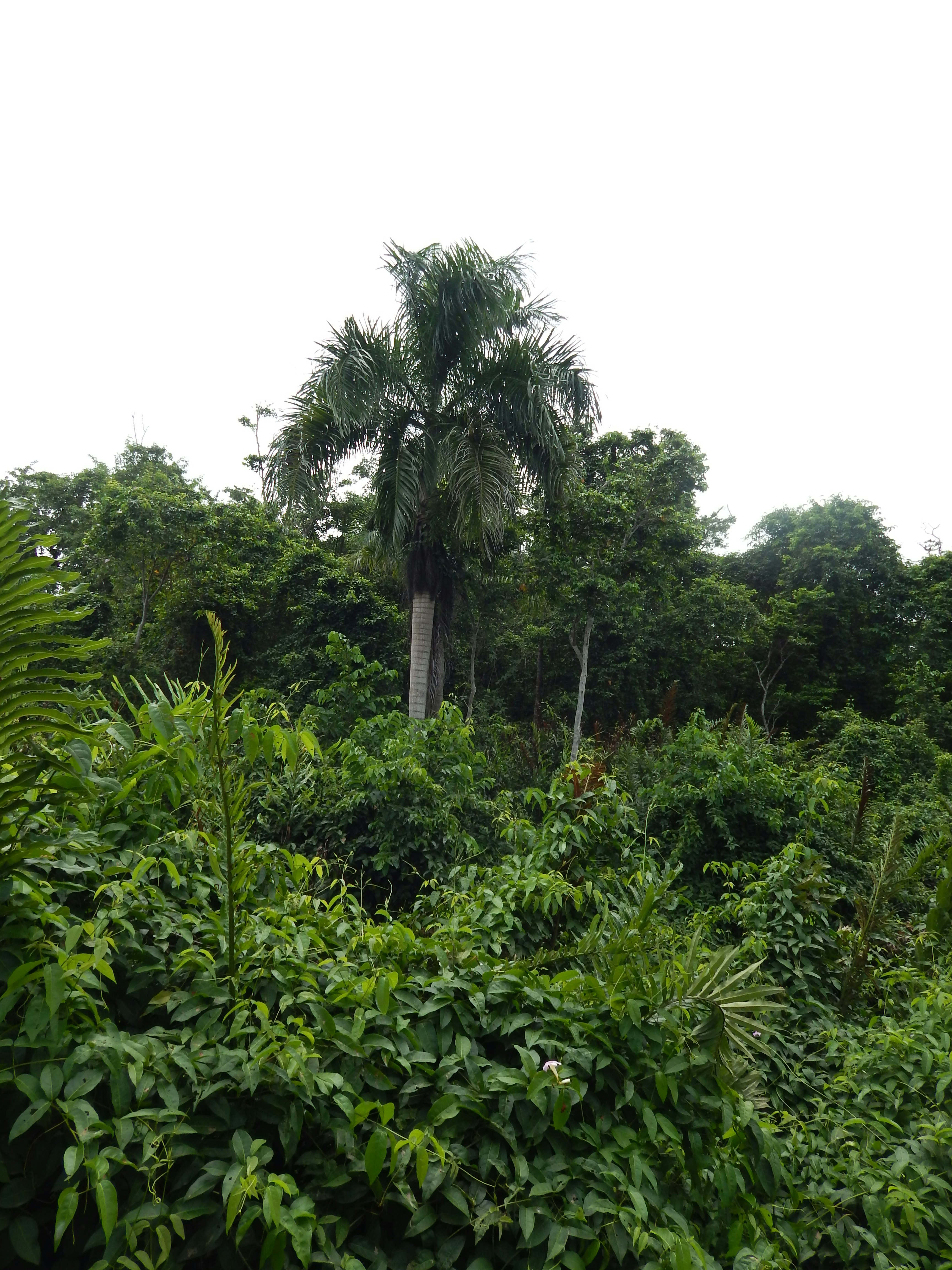 Photo by amartinezmarquez