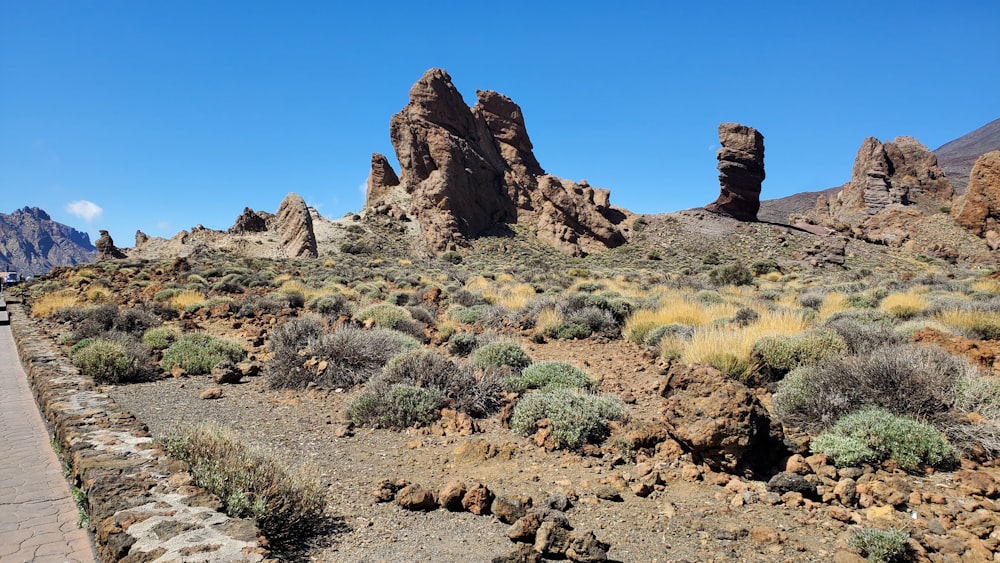 a desert landscape with rocks