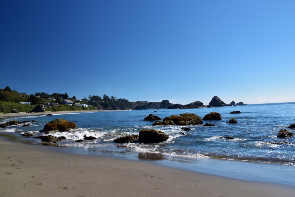 Una playa con rocas y árboles