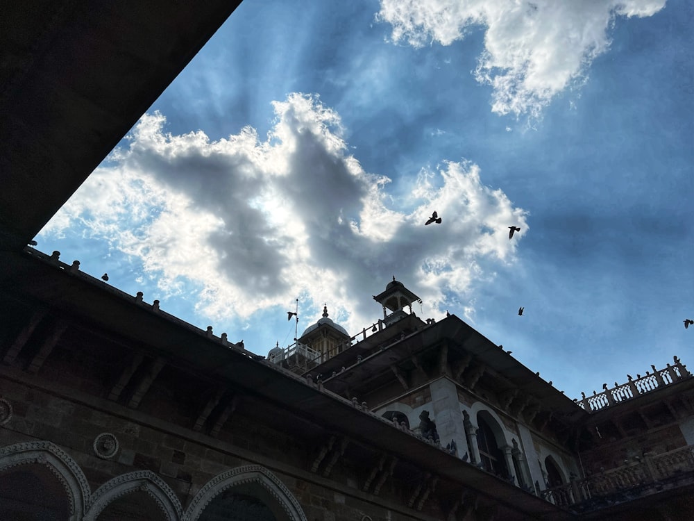 birds flying over a building