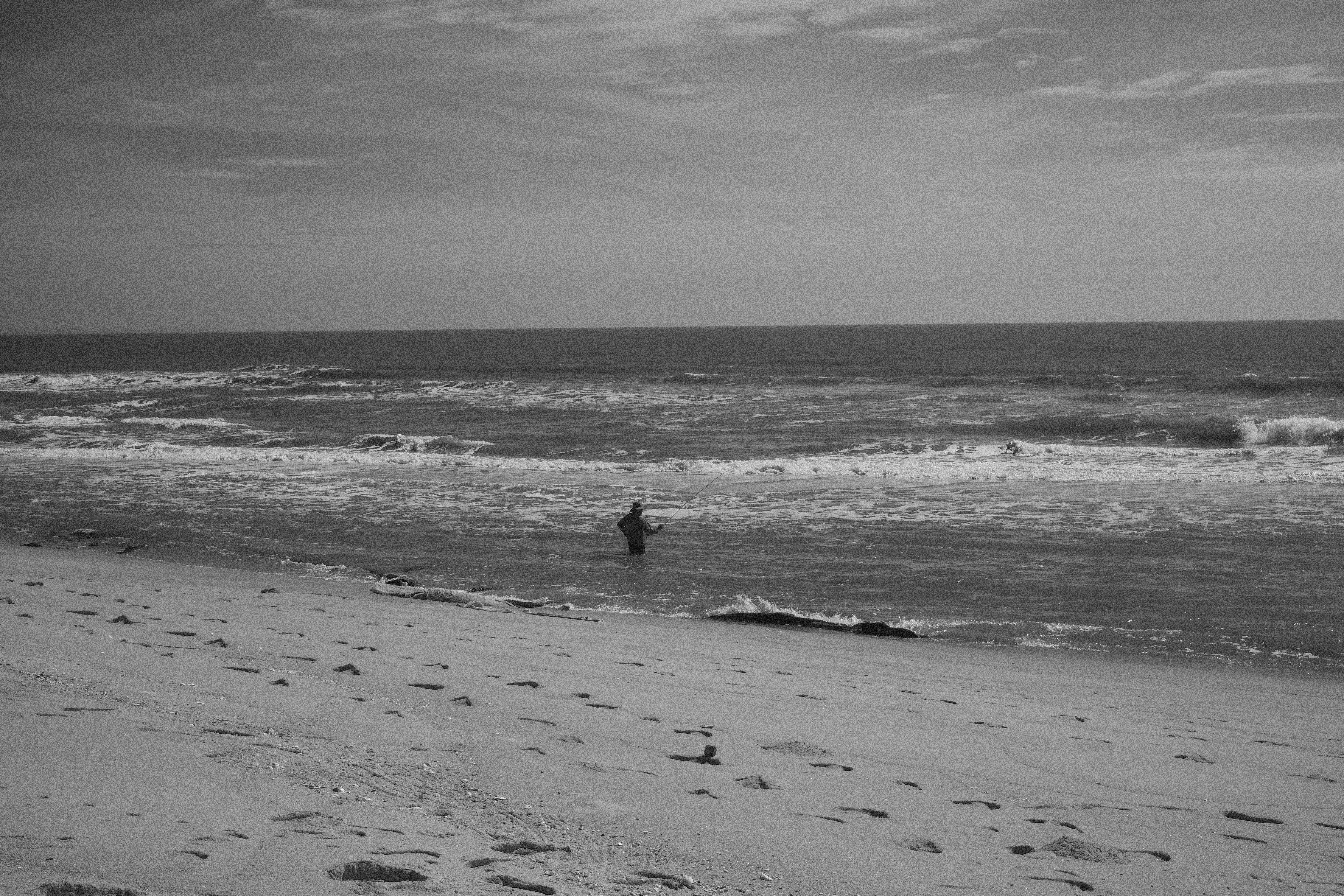 Photo by anhoanggogo