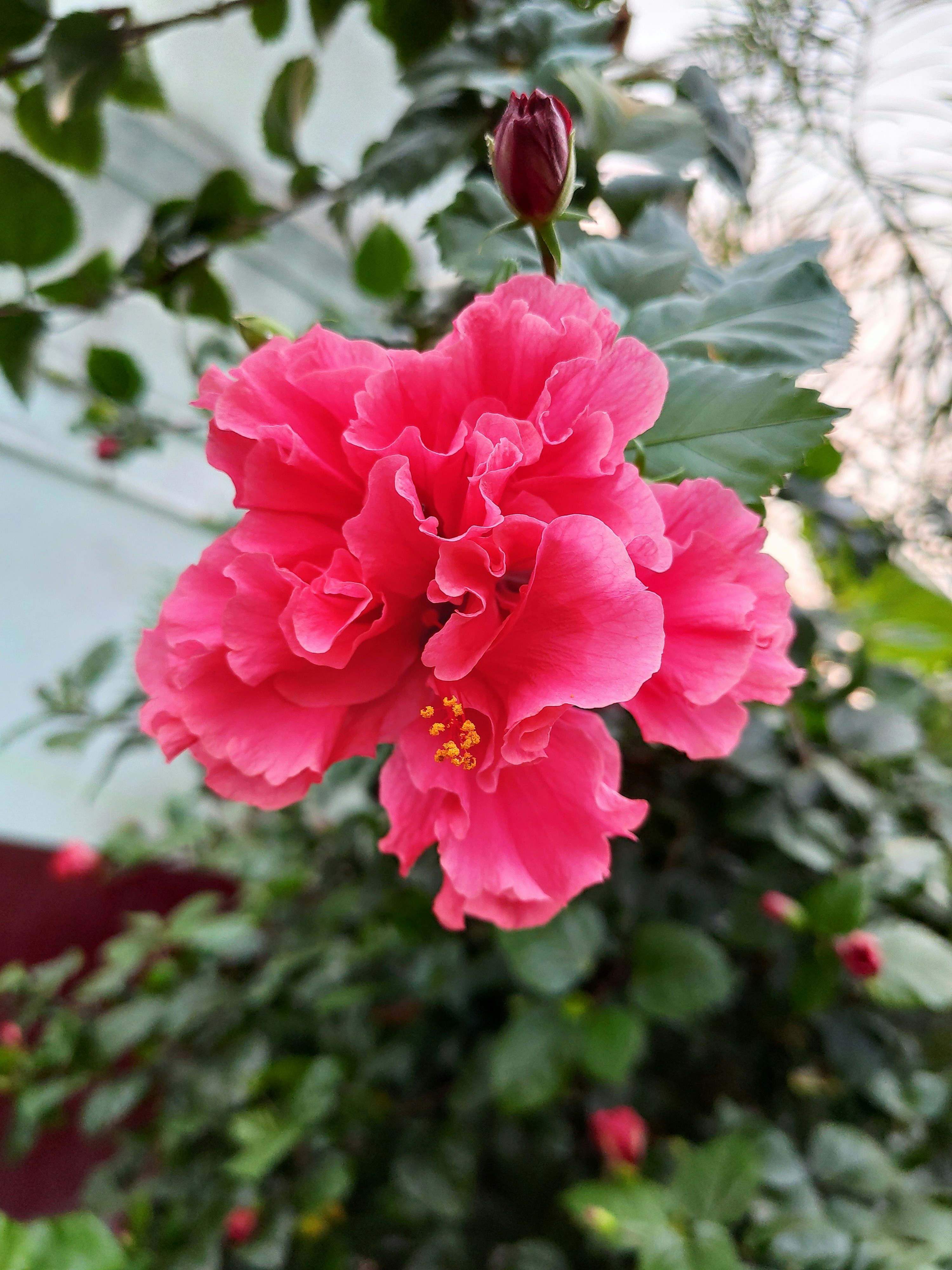 Photo by abhishubham