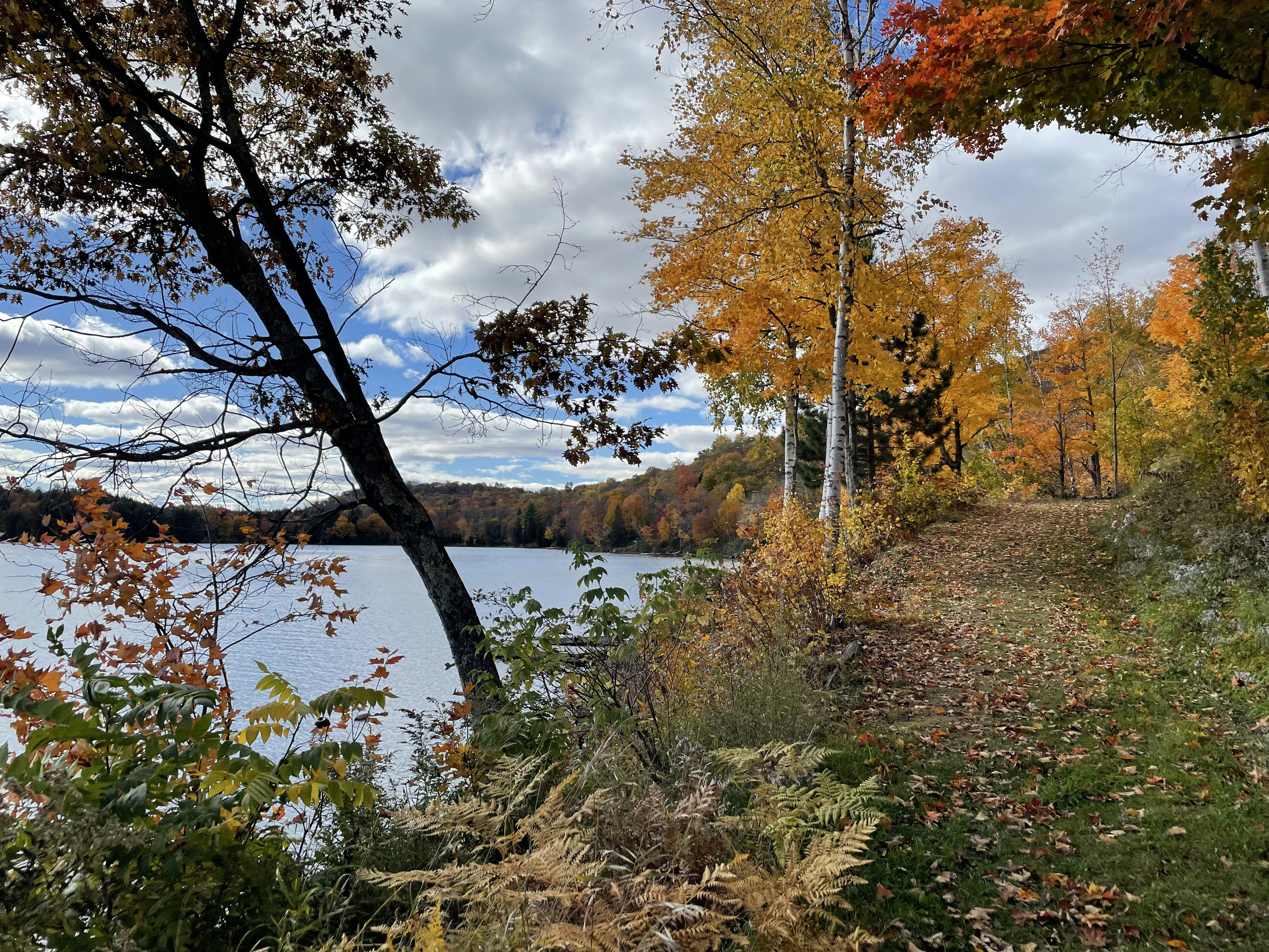 Photo by charliewarl