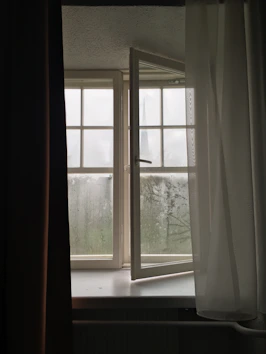 a window with a view of trees outside
