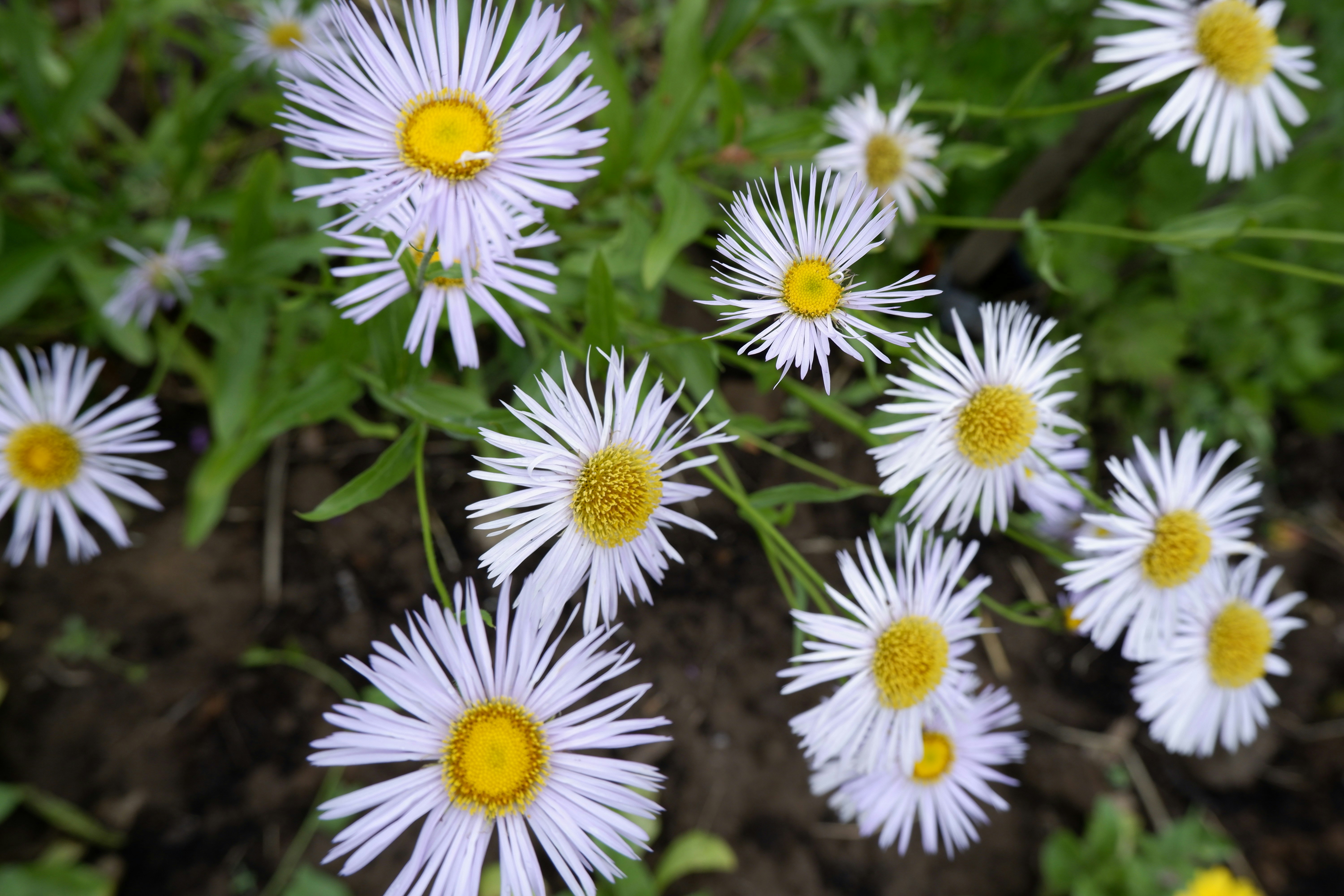 Photo by platova_lera