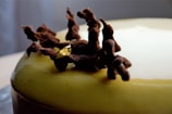 A close-up of an intricately decorated cake with a smooth, glossy surface. The cake features a unique decorative element made of chocolate, shaped like twisted branches, adorned with a glistening yellow sugar crystal.