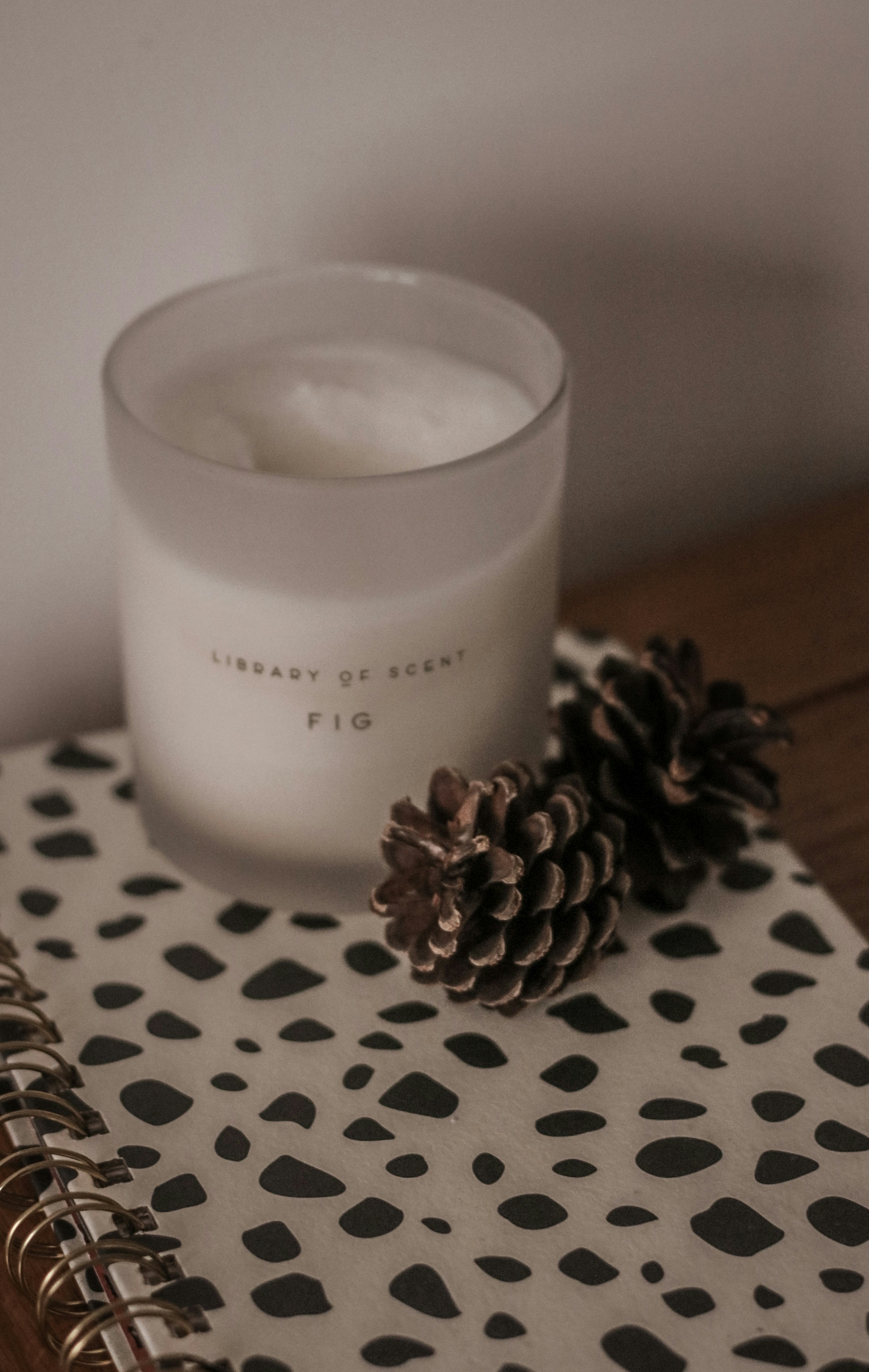 Photo by focalinsight