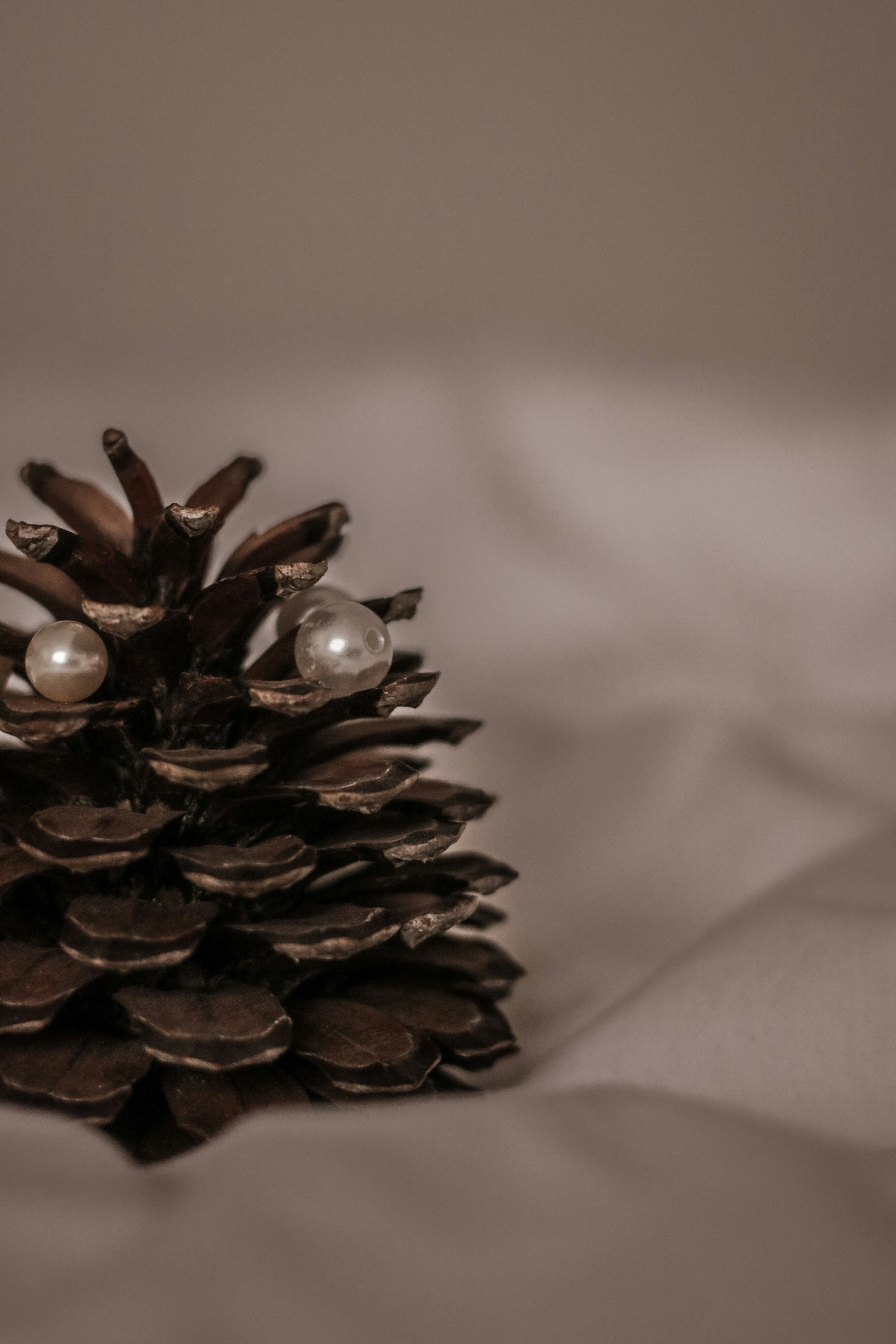 Photo by focalinsight