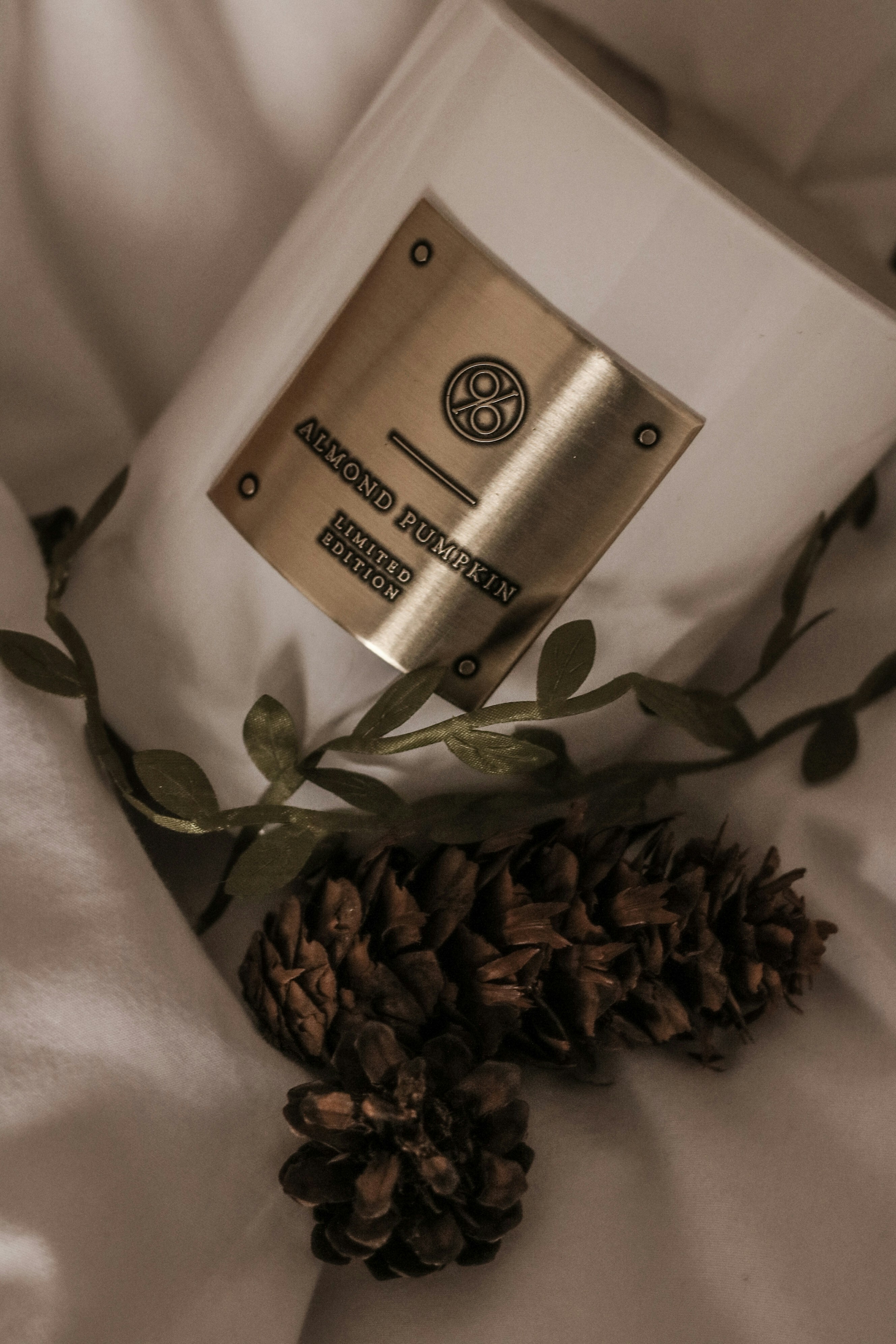 Photo by focalinsight