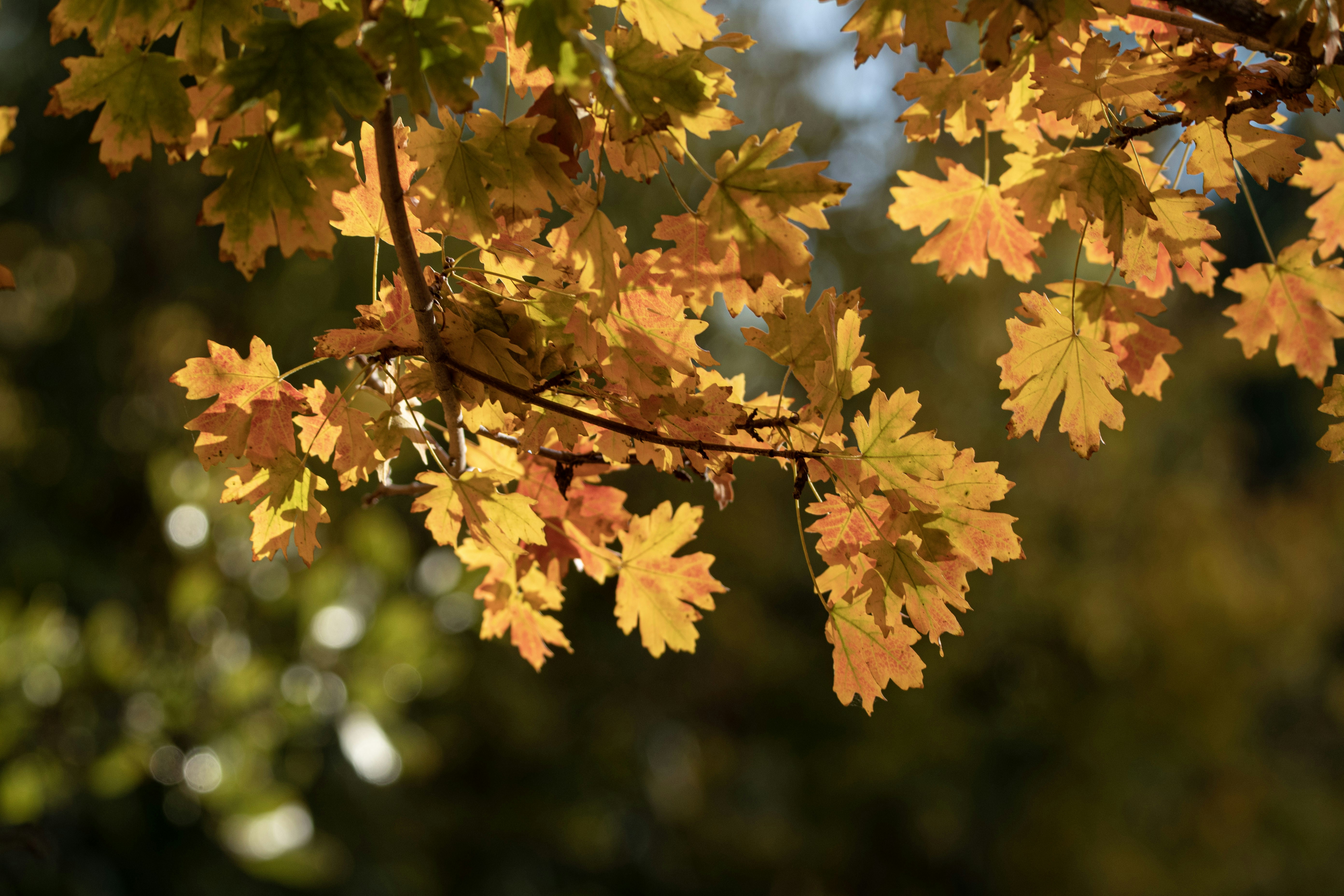 Photo by elisastonephotography