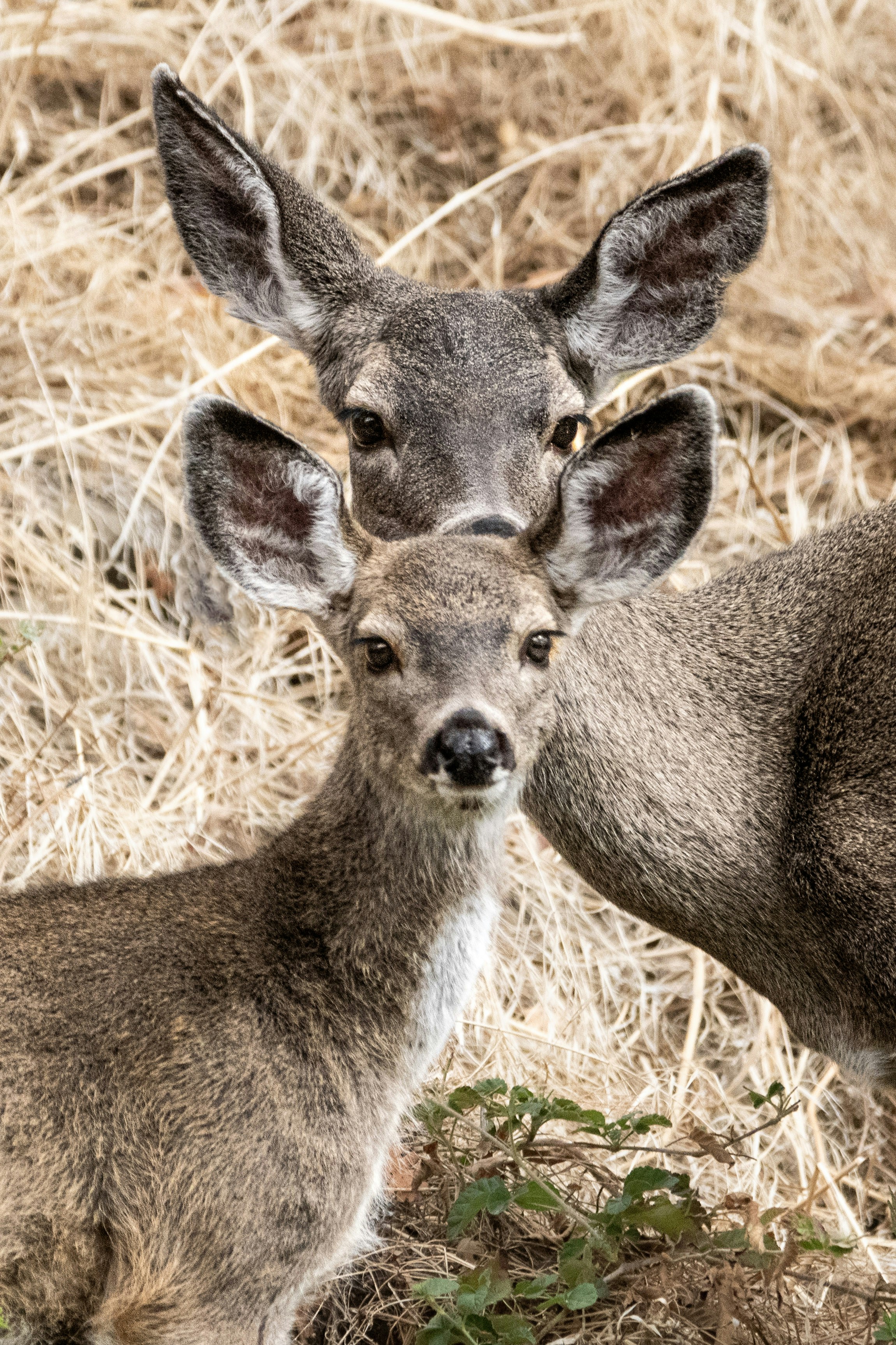 Photo by elisastonephotography