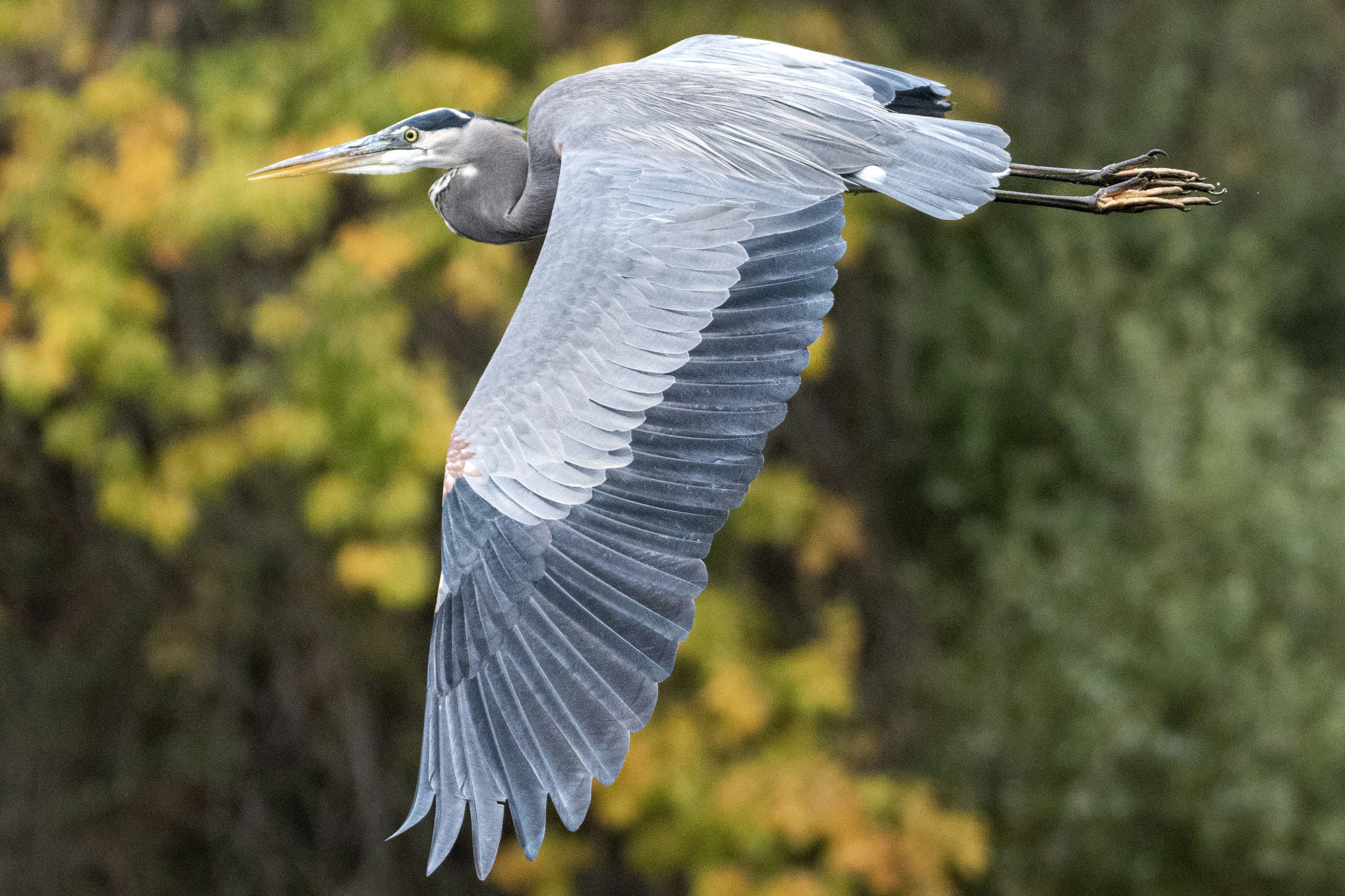 Photo by elisastonephotography