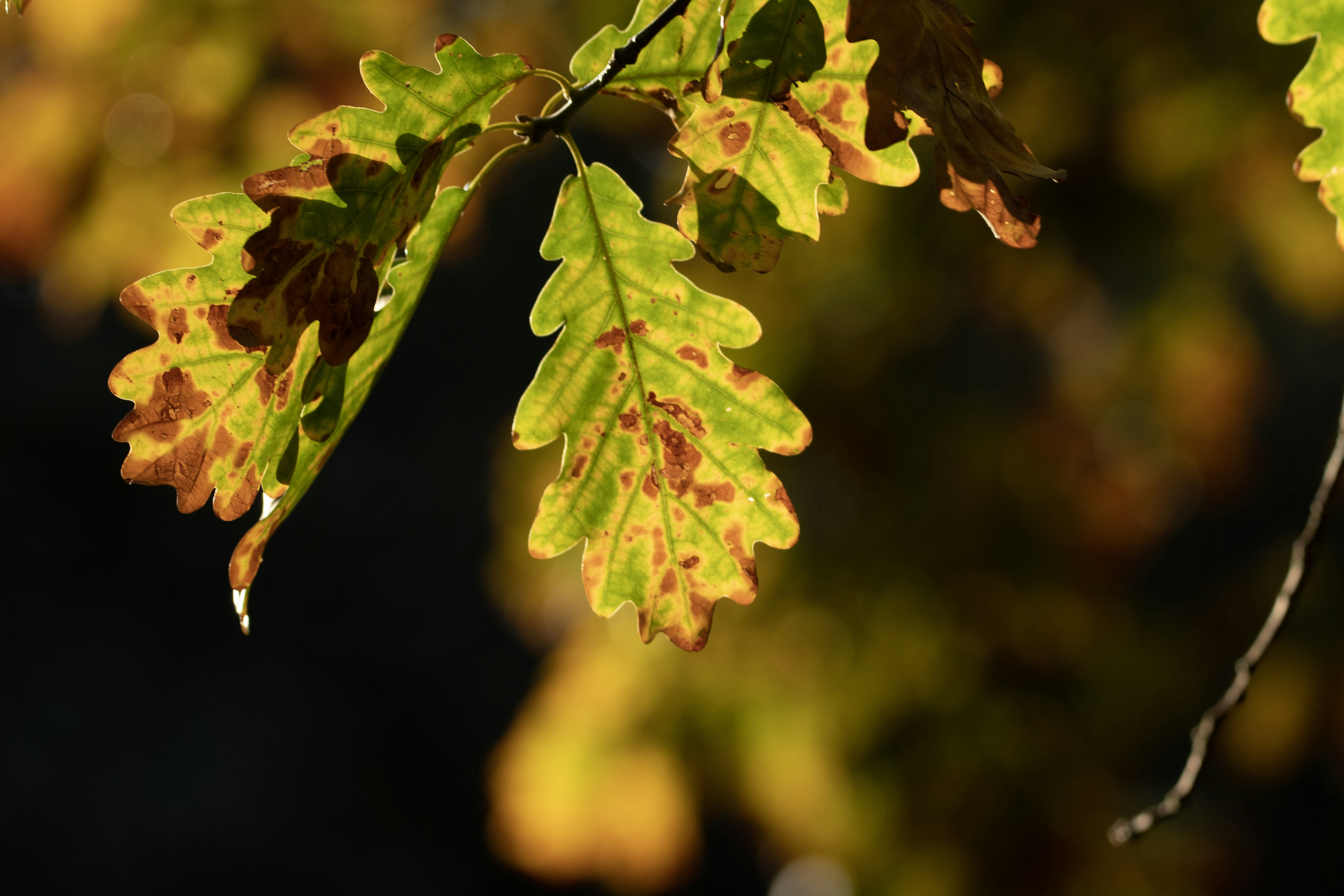 Photo by elisastonephotography