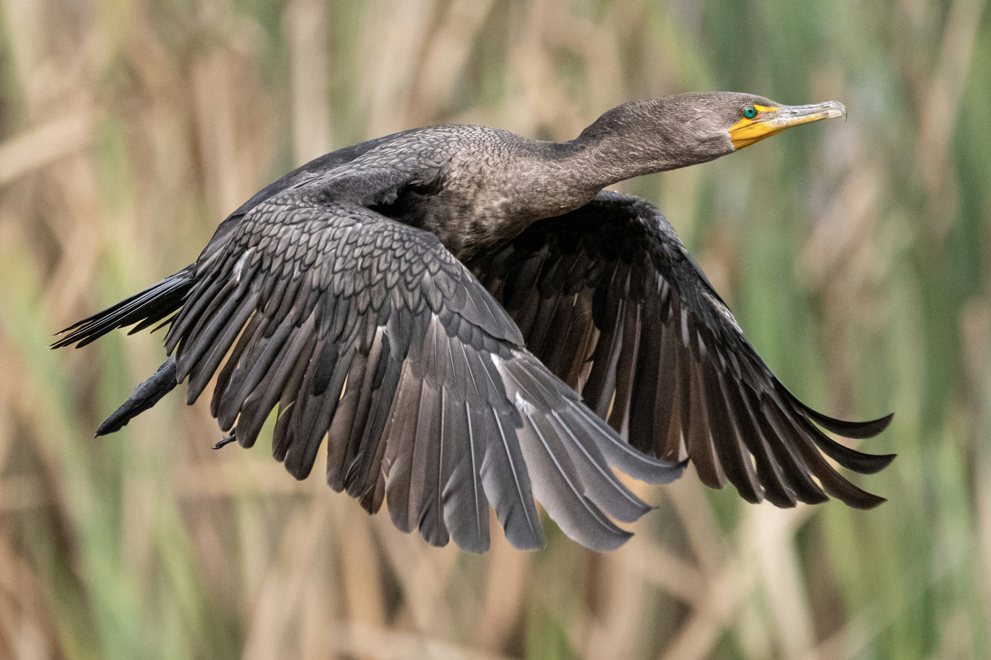 Photo by elisastonephotography