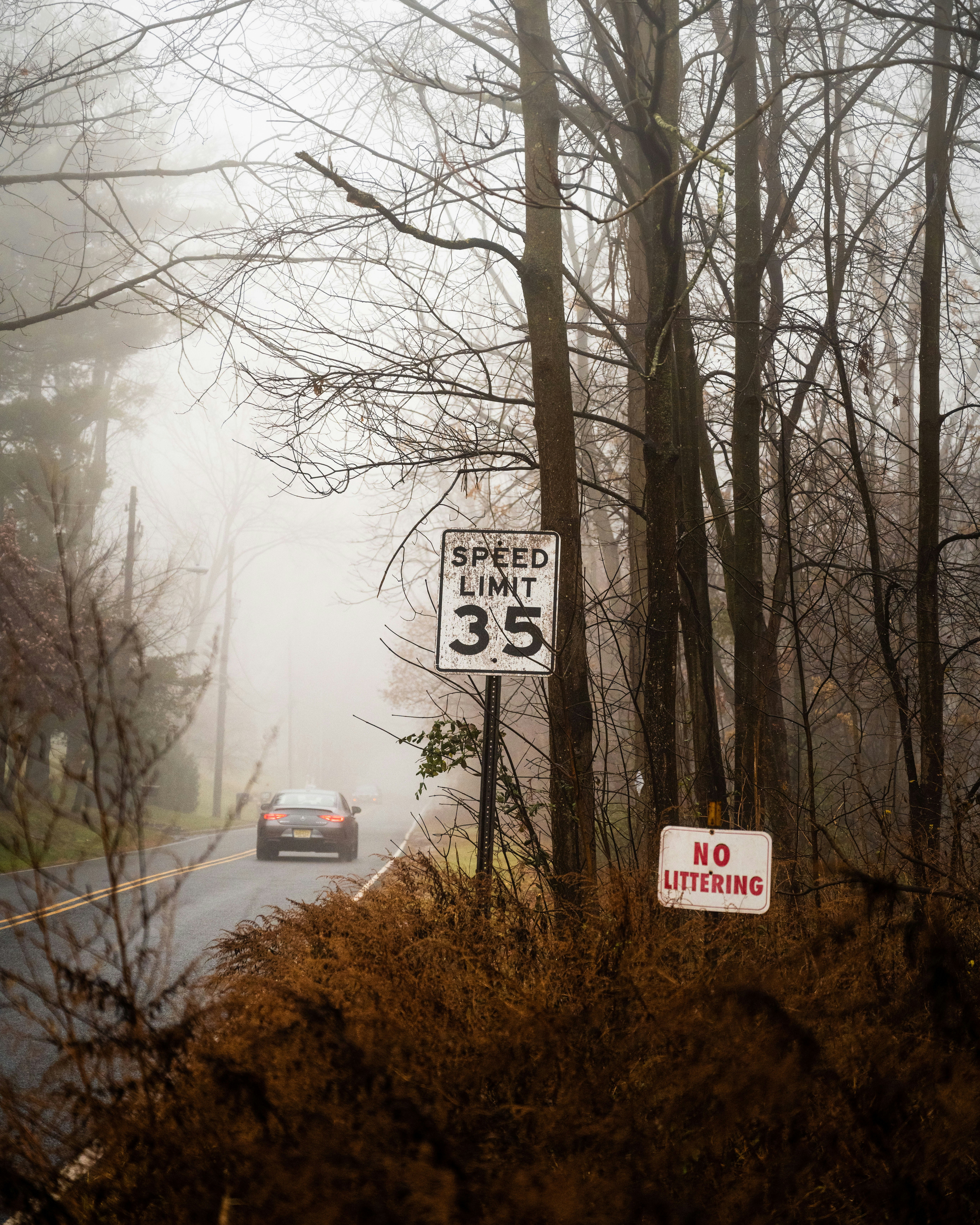 une voiture roulant sur une route avec des arbres de chaque côté