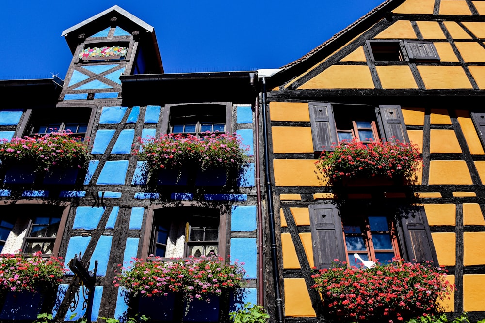 a building with many windows and flowers on the windows
