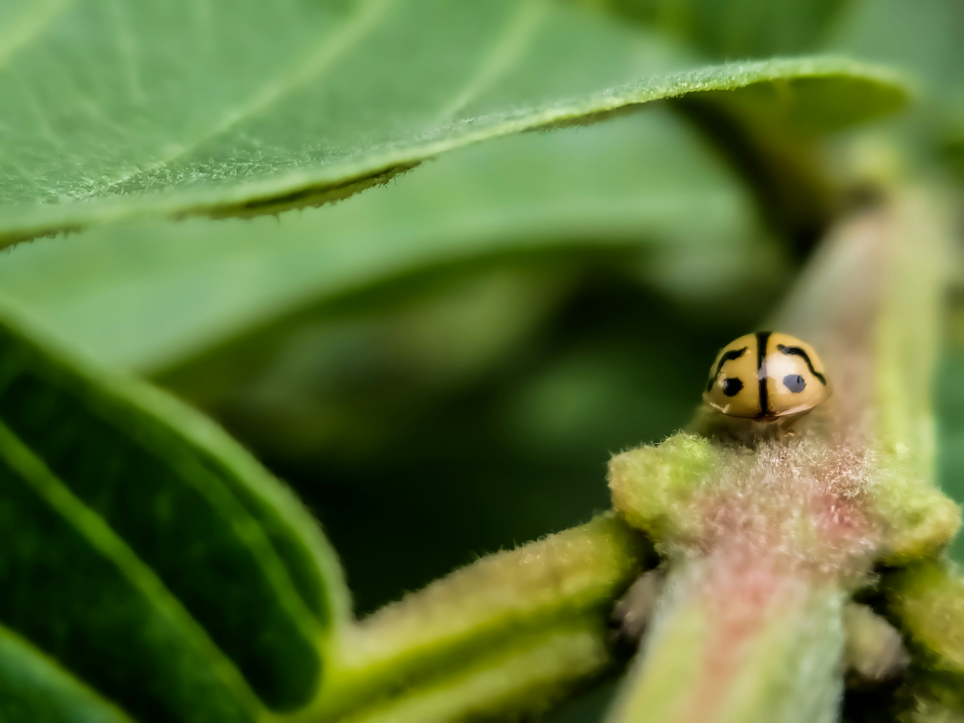 Photo by amarnath1307