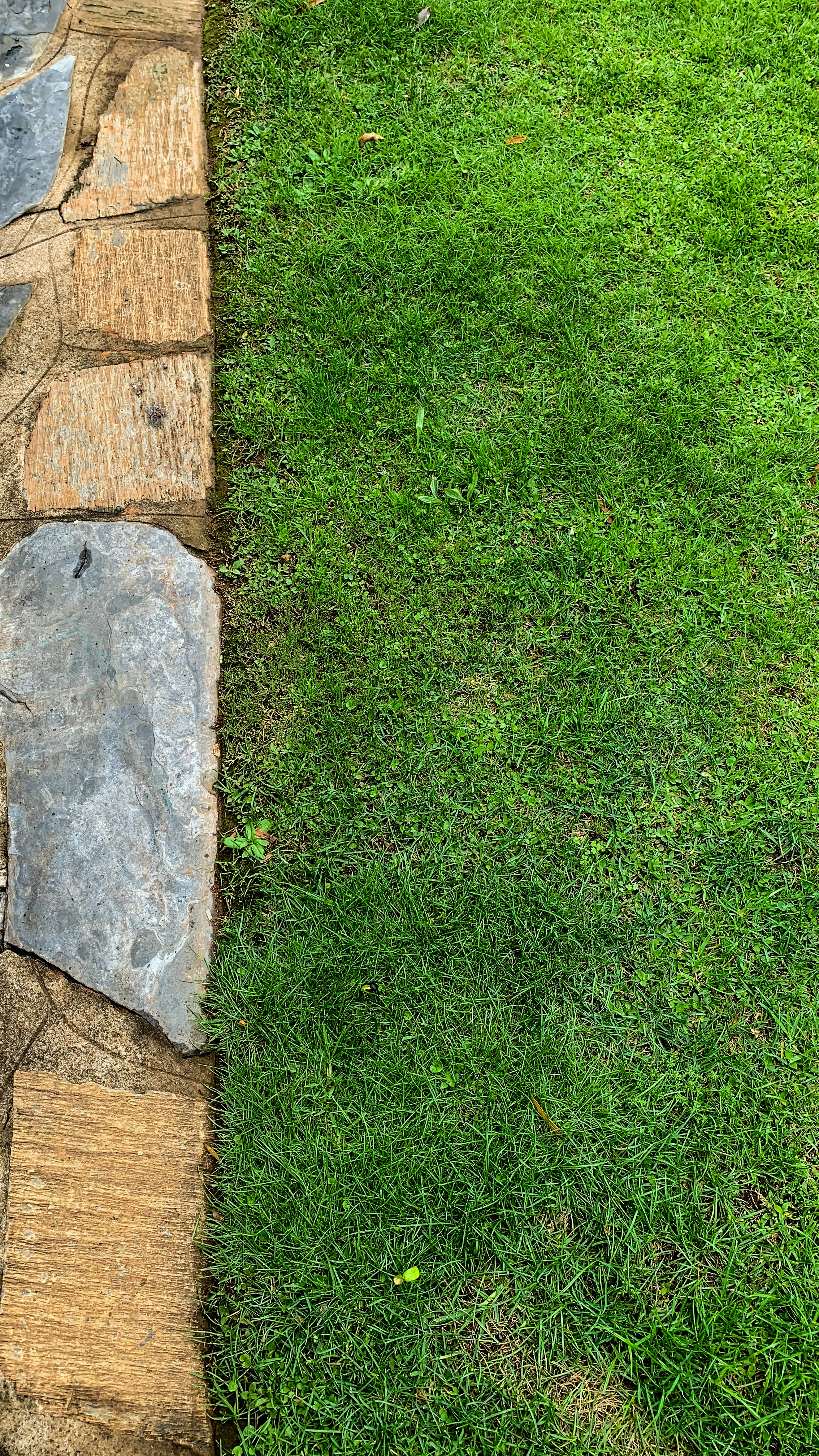 Landscaping project before and after images