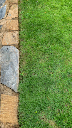 a grassy area with a stone wall