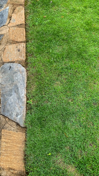 a grassy area with a stone wall