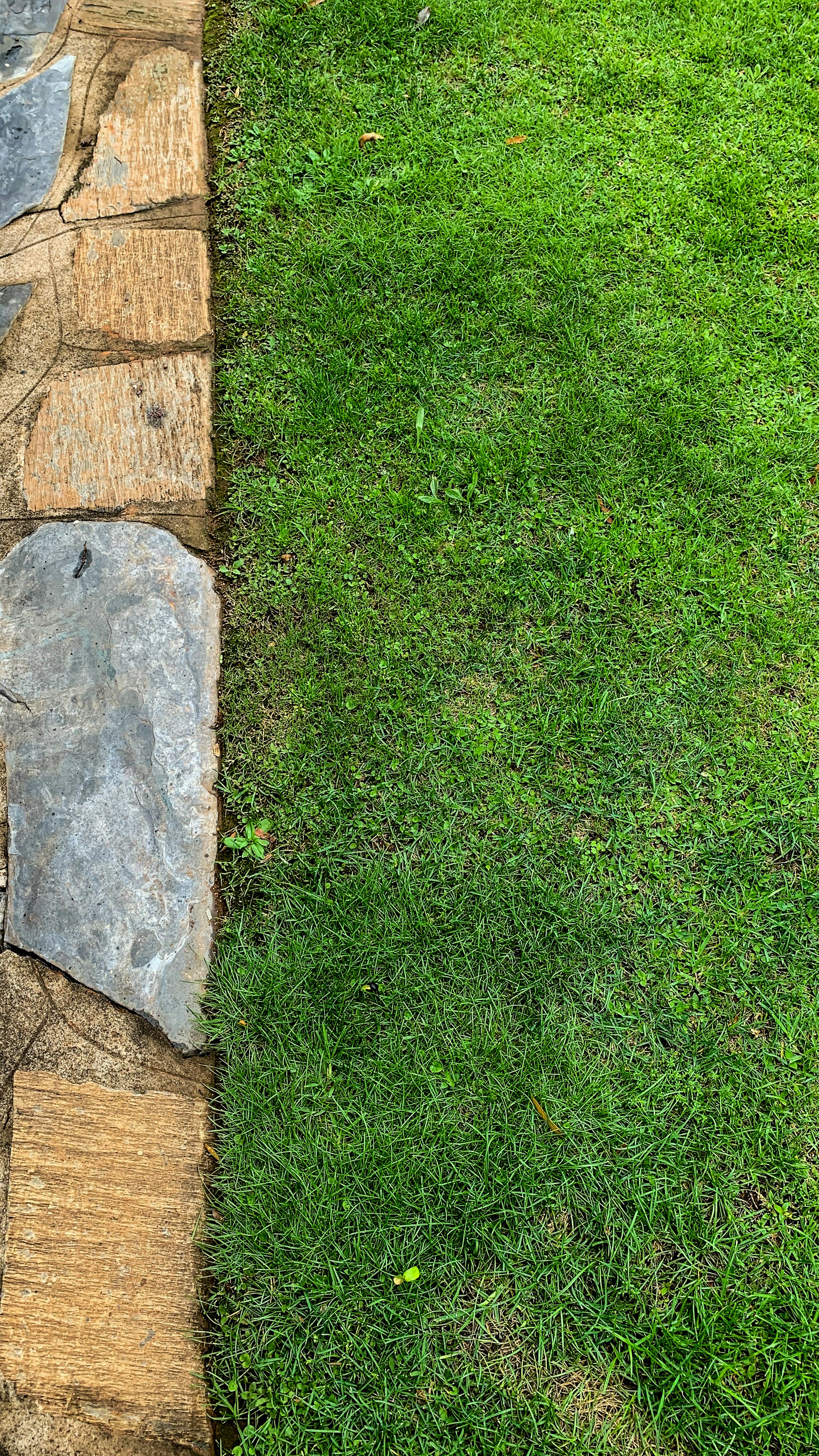 a grassy area with a stone wall