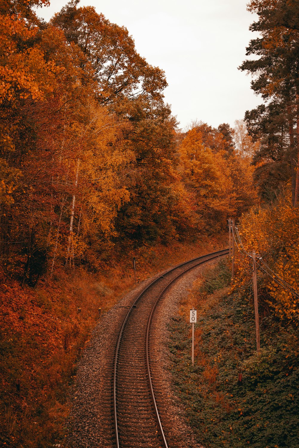 a train track surrounded by trees