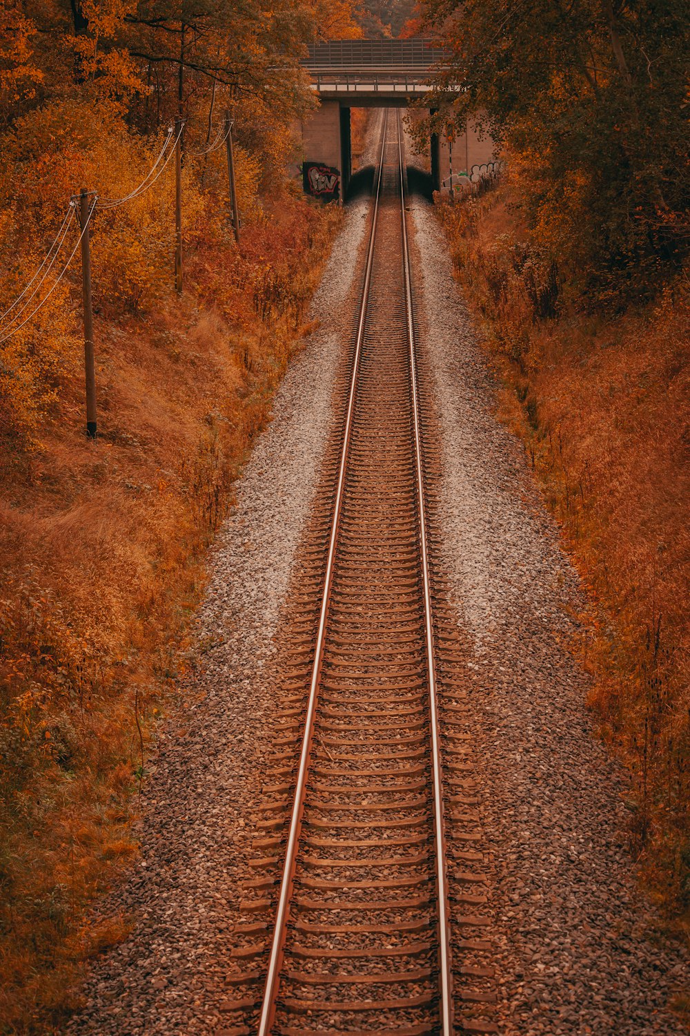 train tracks going through a tunnel