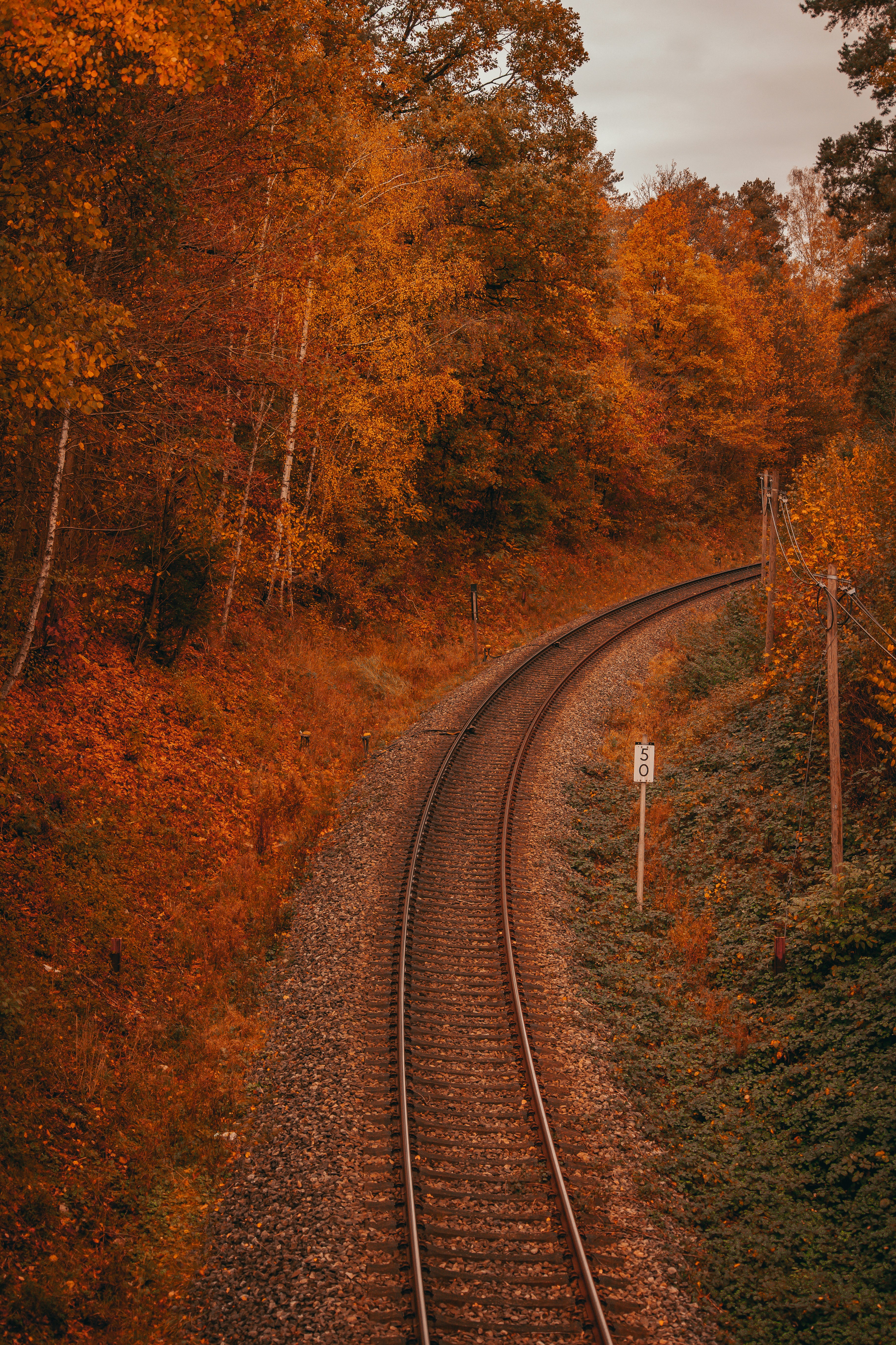 Photo by elisamoldovan