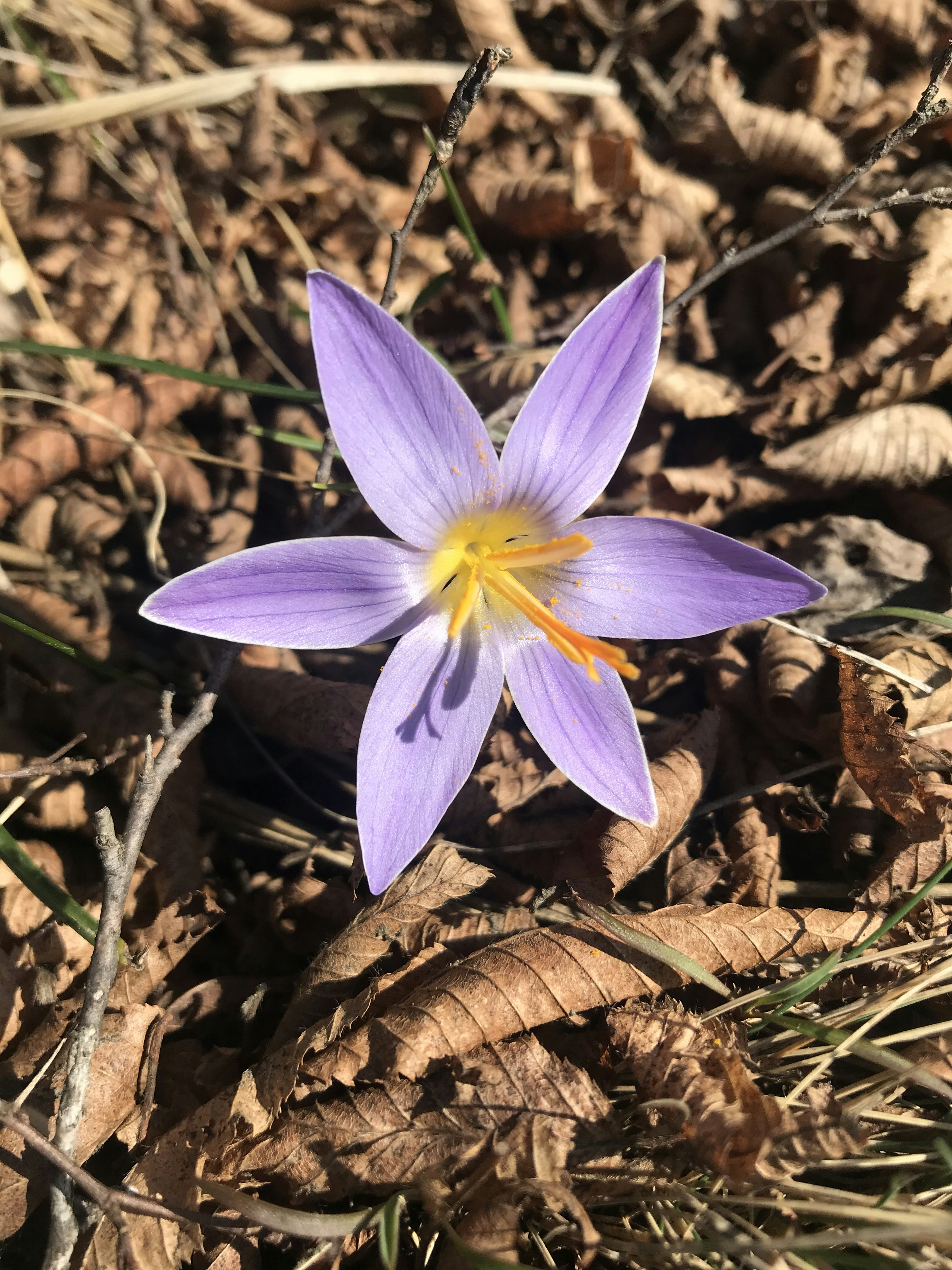 Photo by ayaalexandraandreea