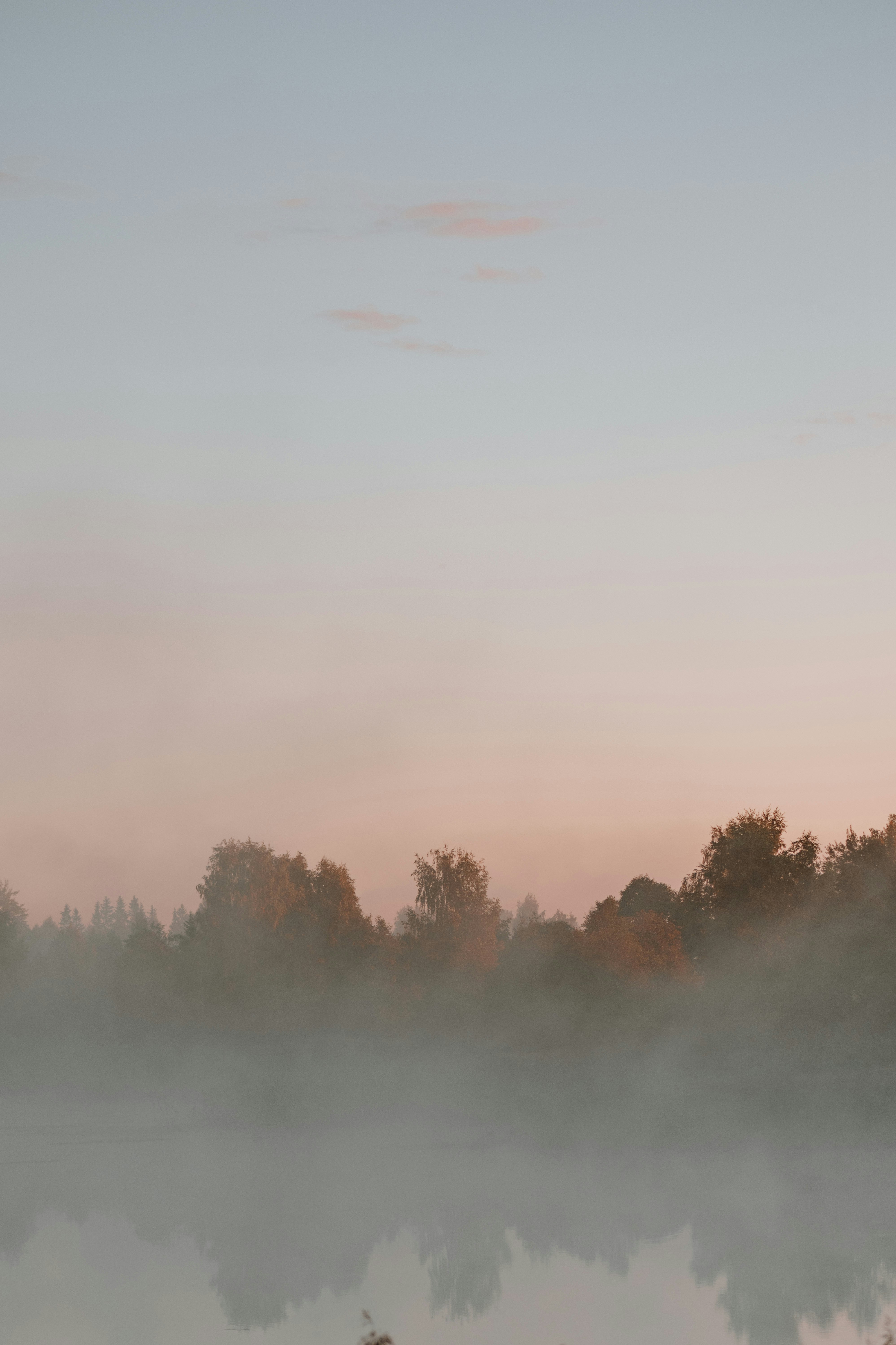 Photo by anitaaustvika