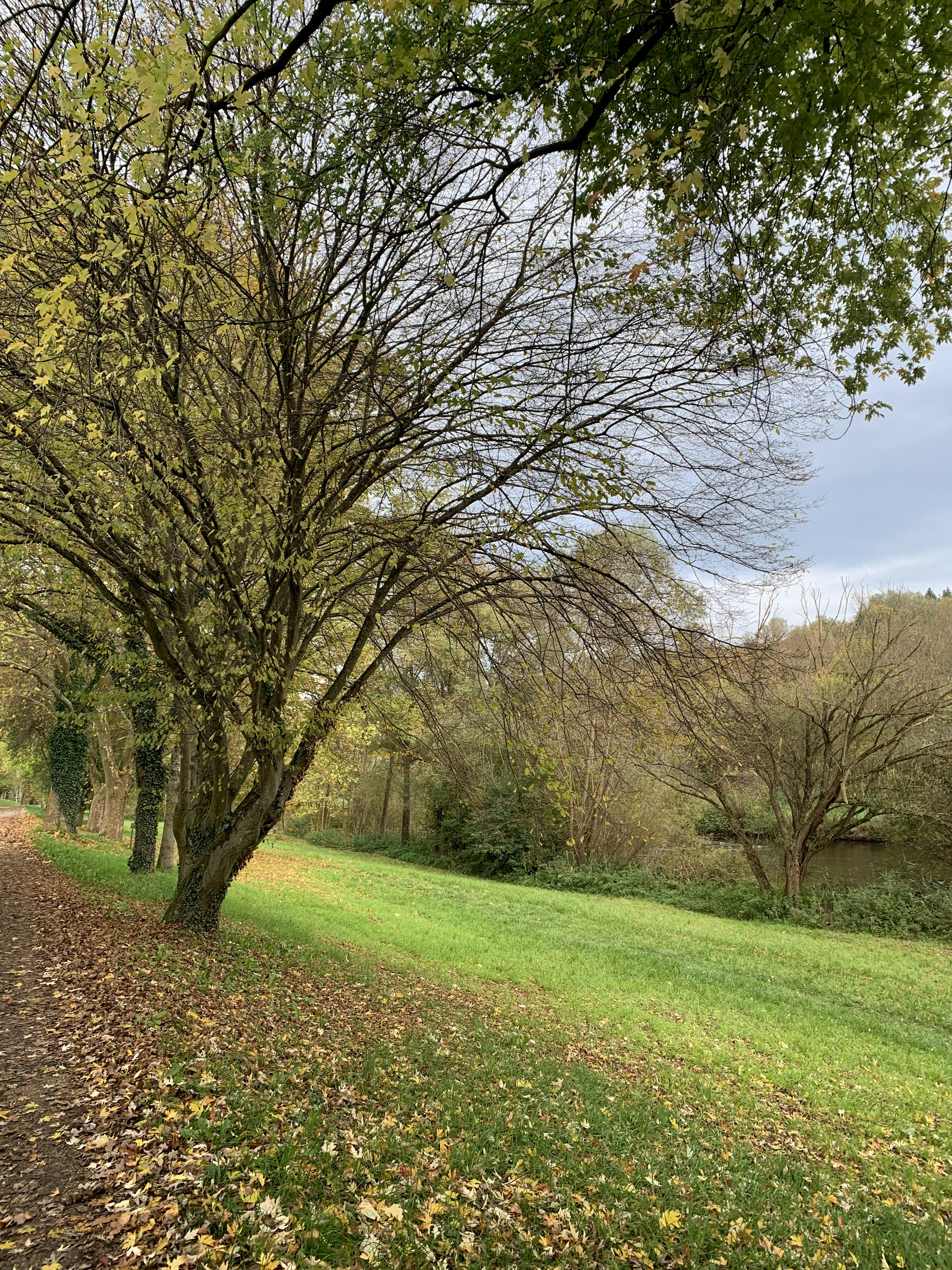 Photo by luckyphoto1