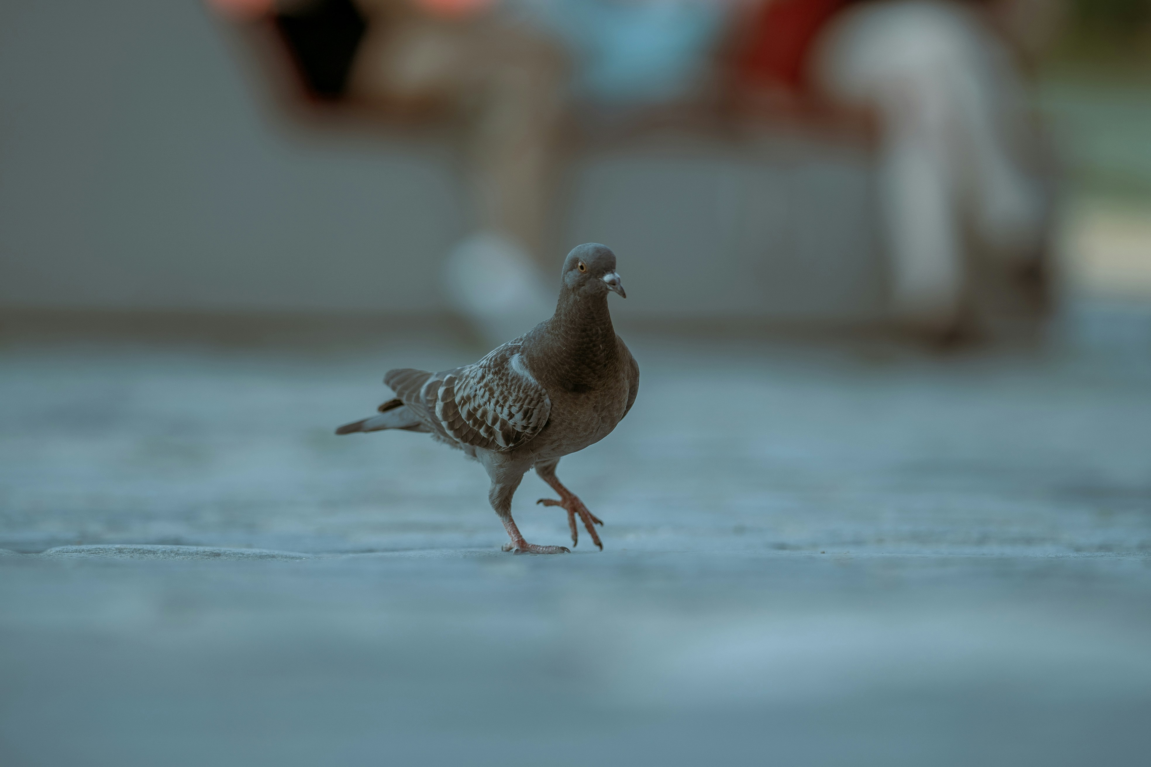 Photo by omarvellous14