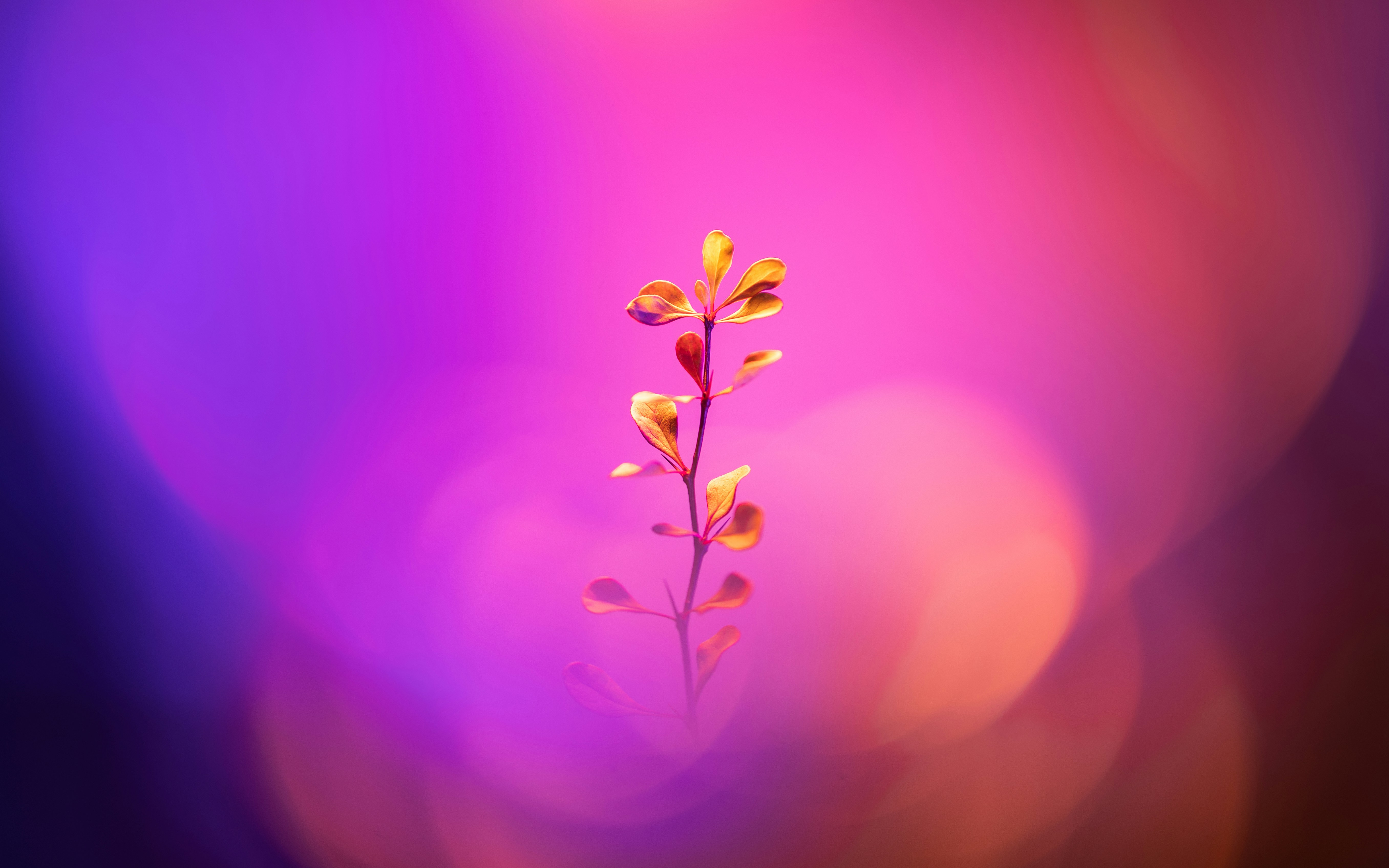 Photo by marekpiwnicki